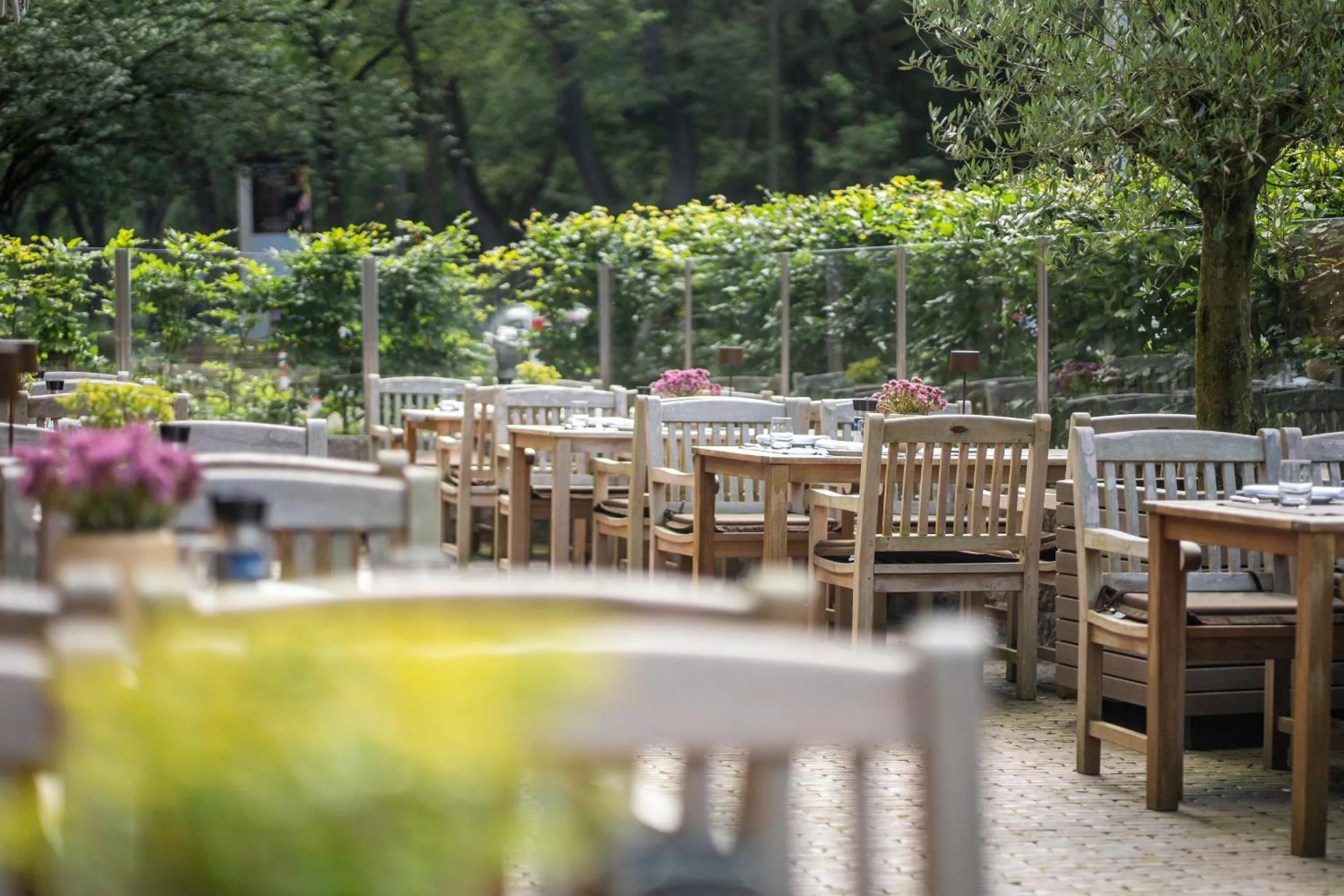 Restaurant/places to eat in MUNTE - Wellnesshotel am Stadtwald