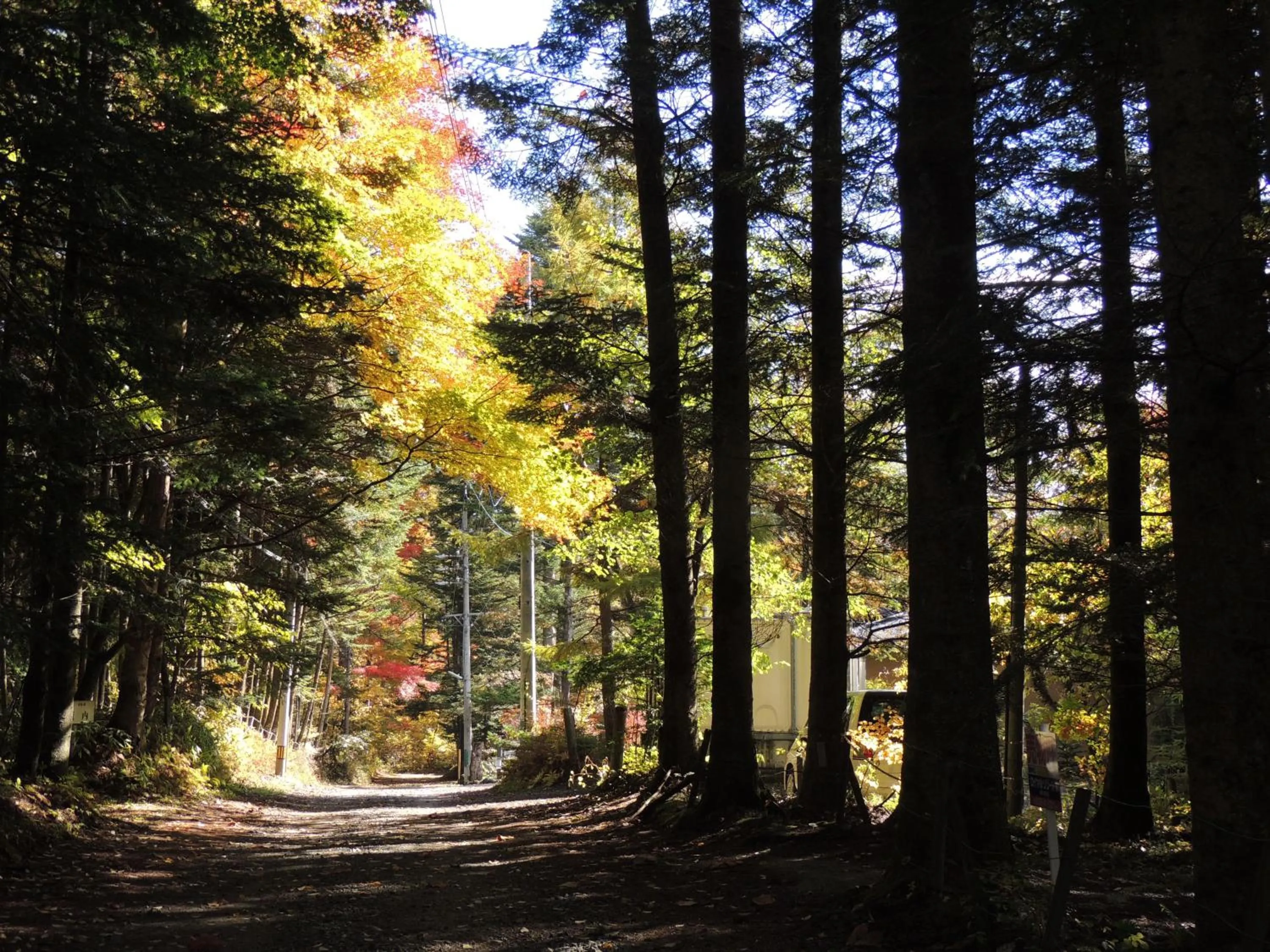 Natural landscape in B&B Hotel Hyochoan