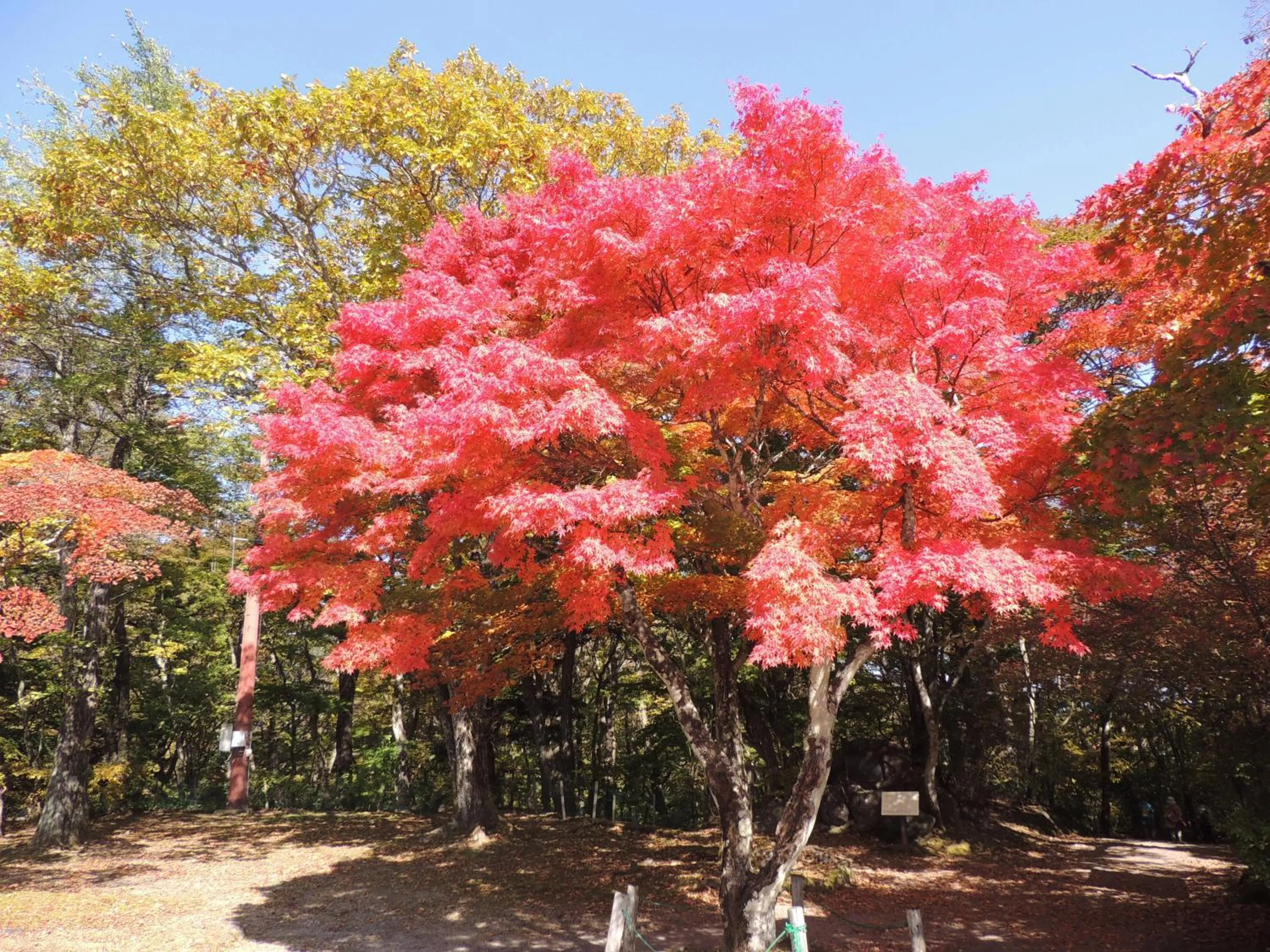 Area and facilities in B&B Hotel Hyochoan