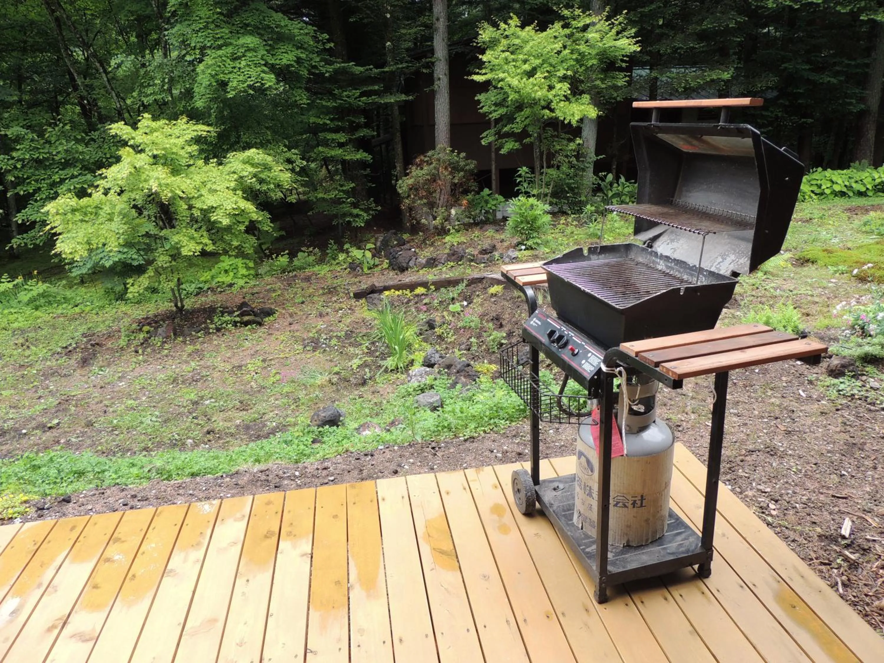 BBQ facilities in B&B Hotel Hyochoan