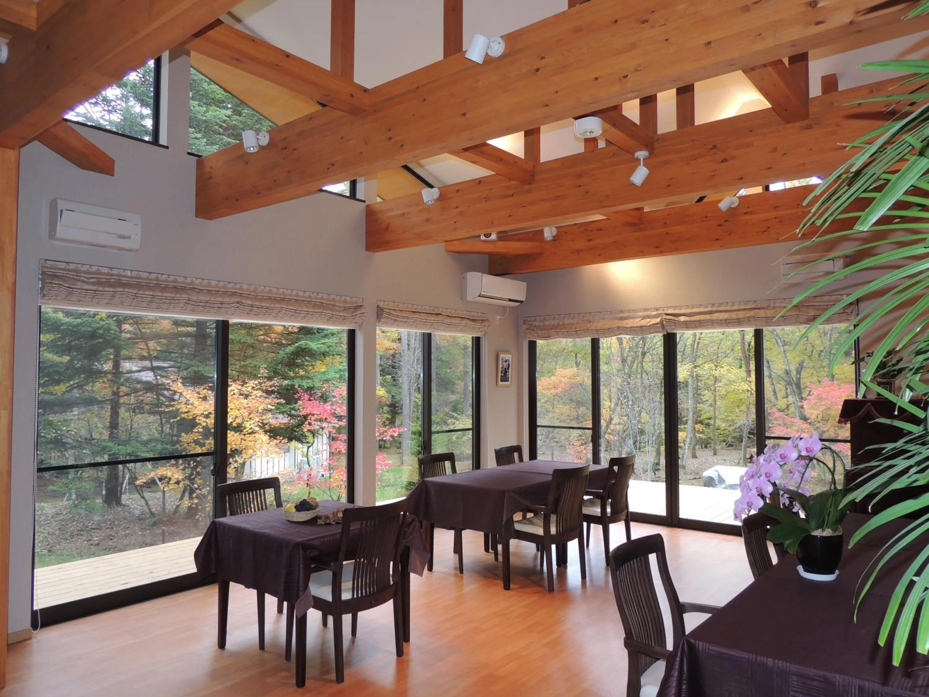 Restaurant/places to eat in B&B Hotel Hyochoan