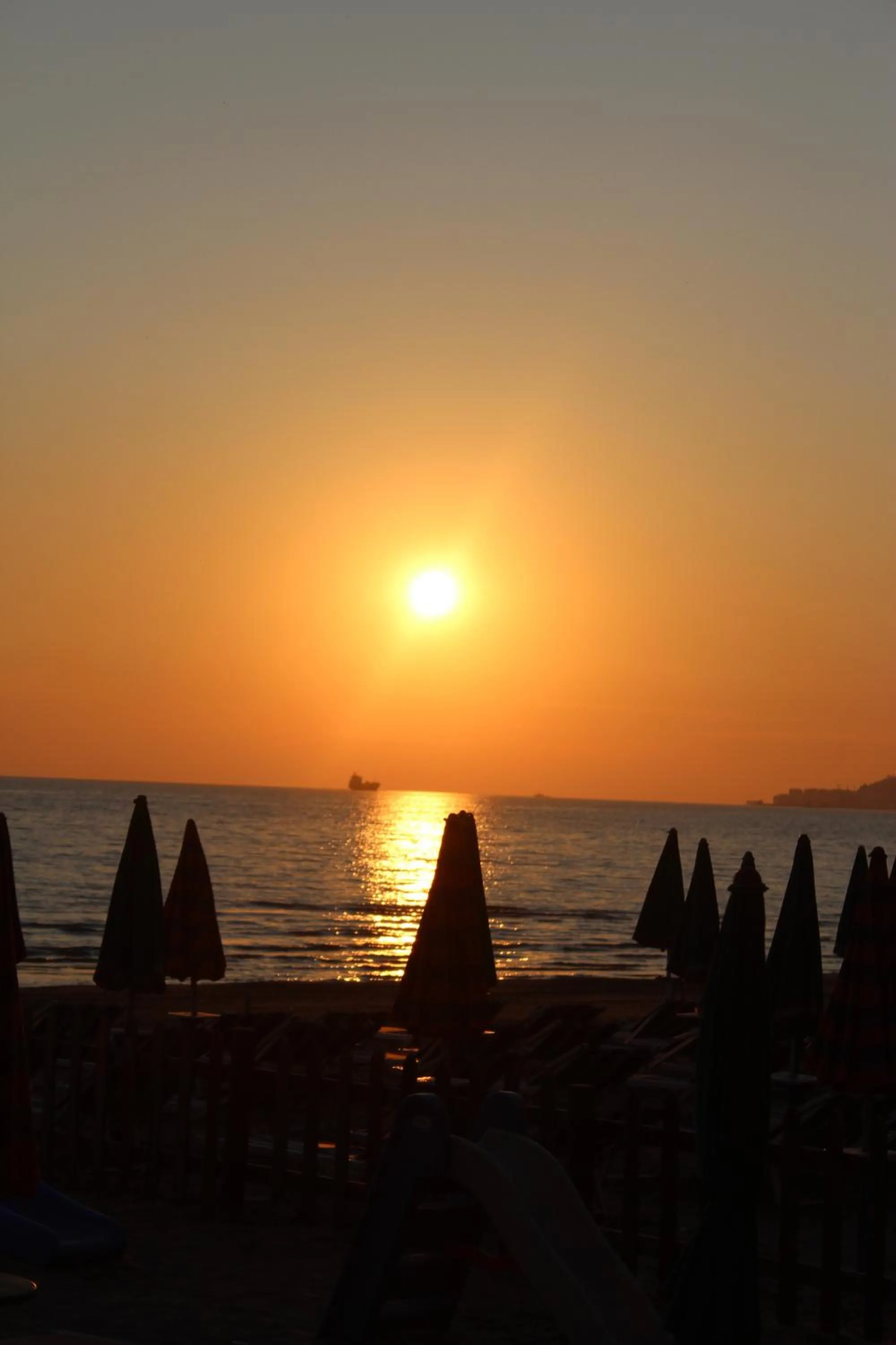 Area and facilities in Hotel Adriatik 2