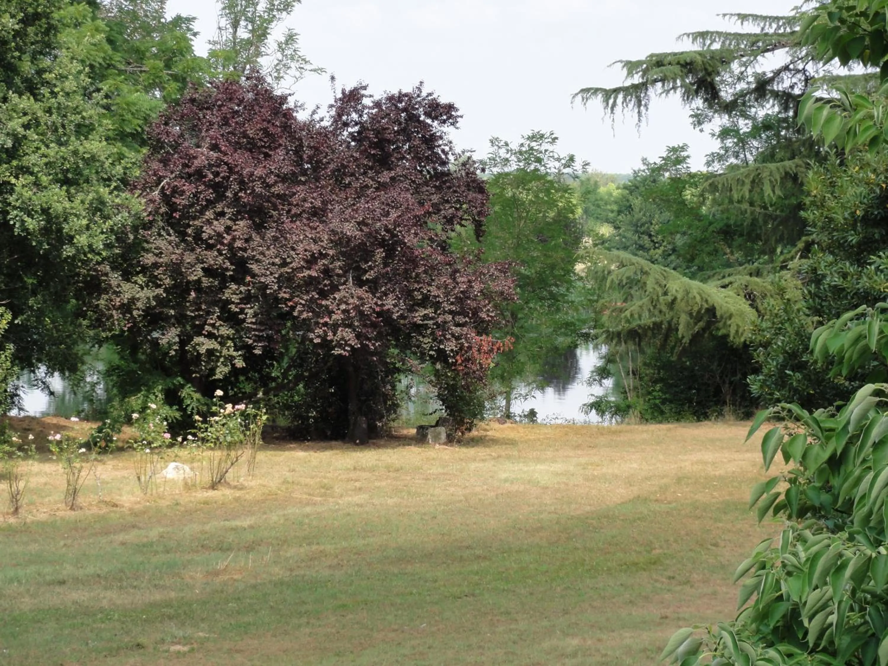 Garden in Les Rives du Plantié
