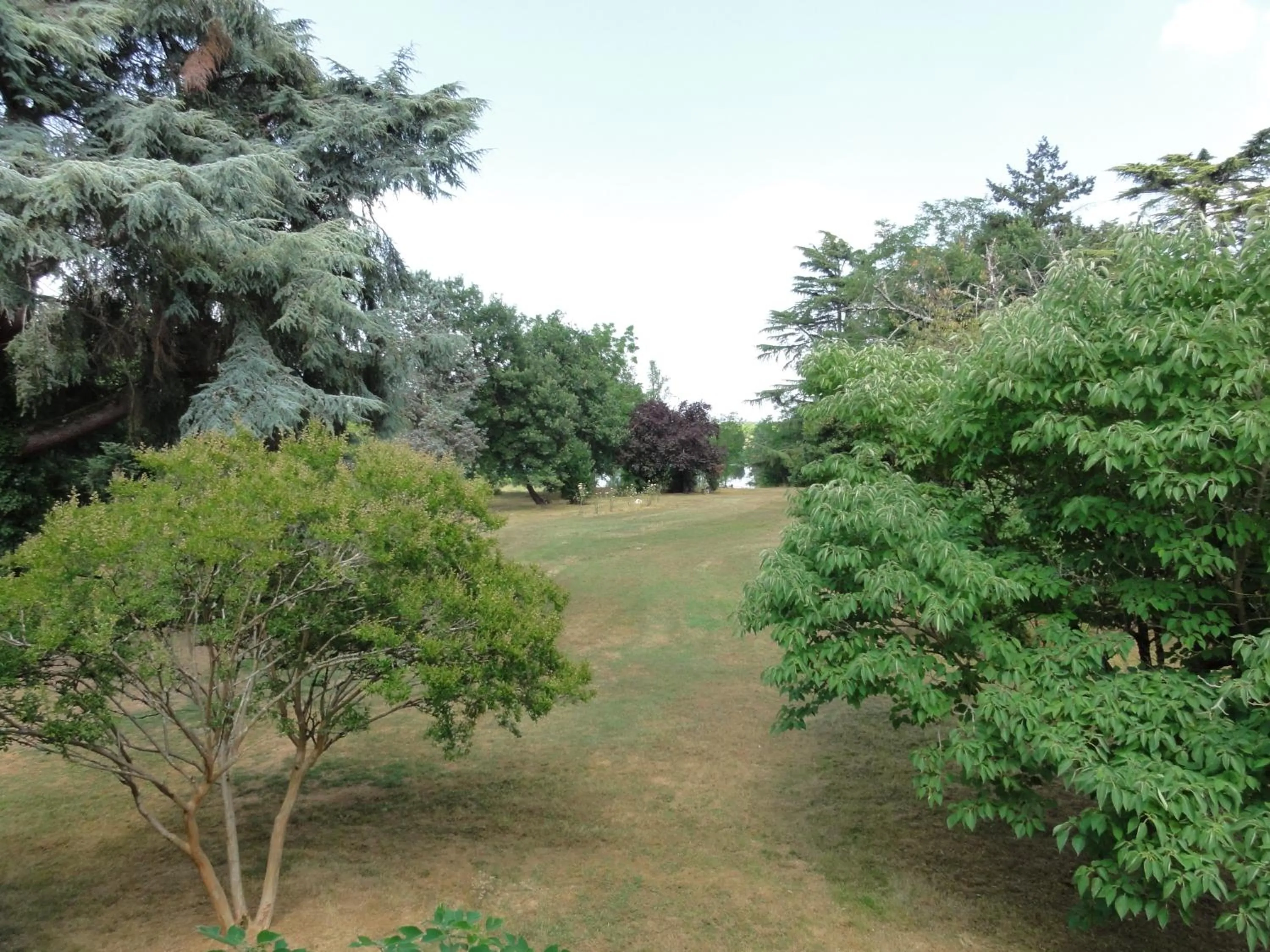 Garden in Les Rives du Plantié