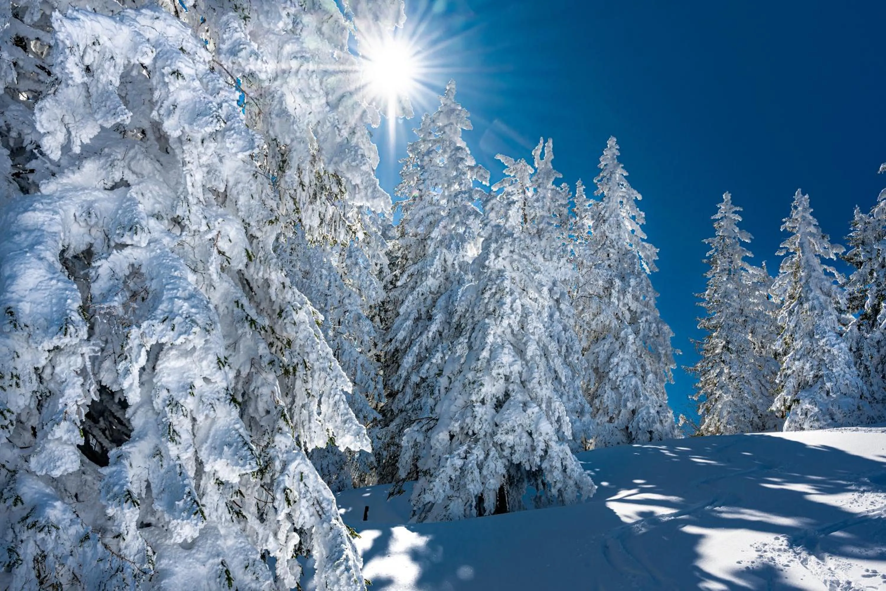Winter in Alpenhotel Denninglehen