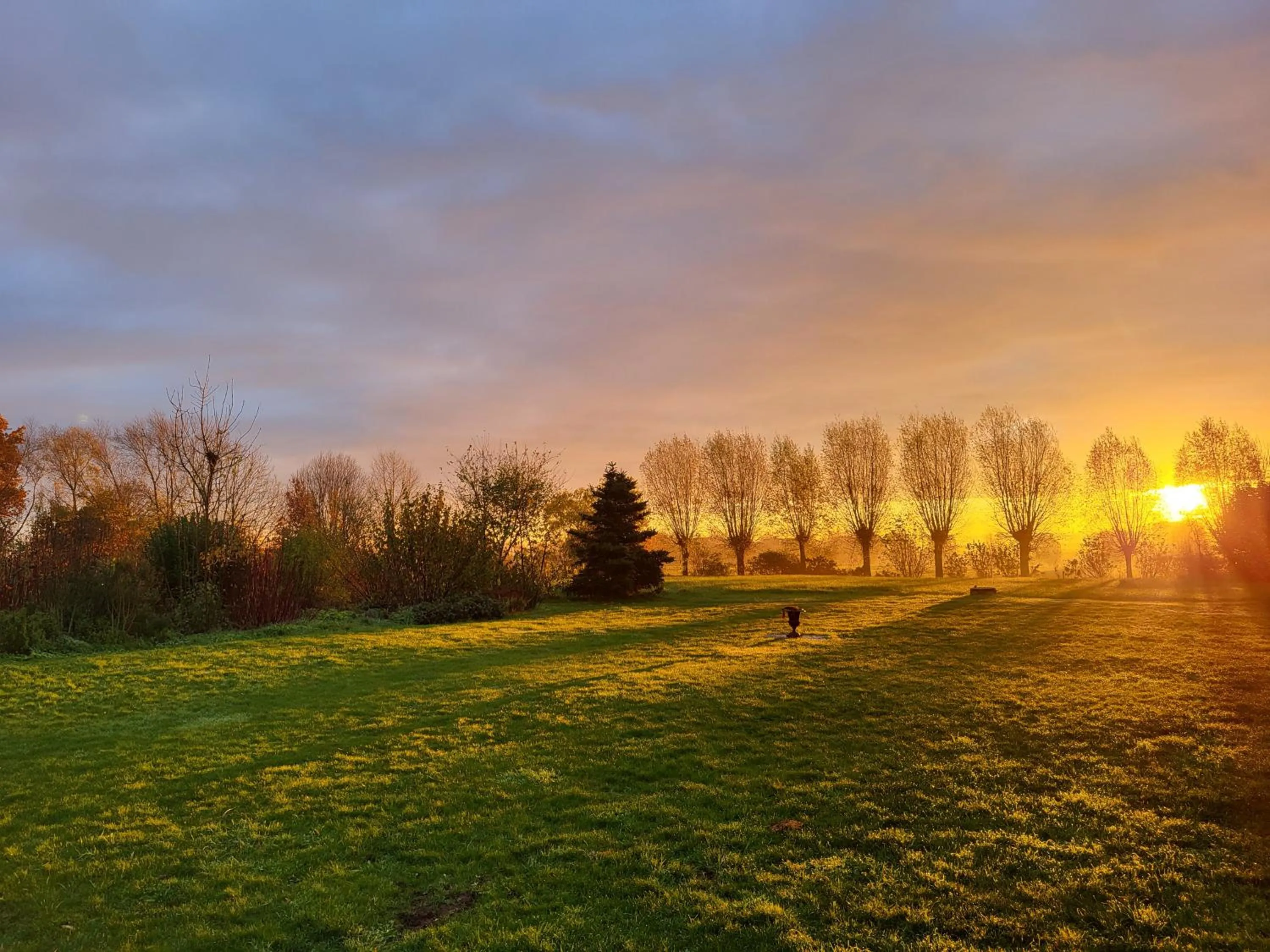 Garden view in B&B Herberg Boerenhol DE MOTE BVBA