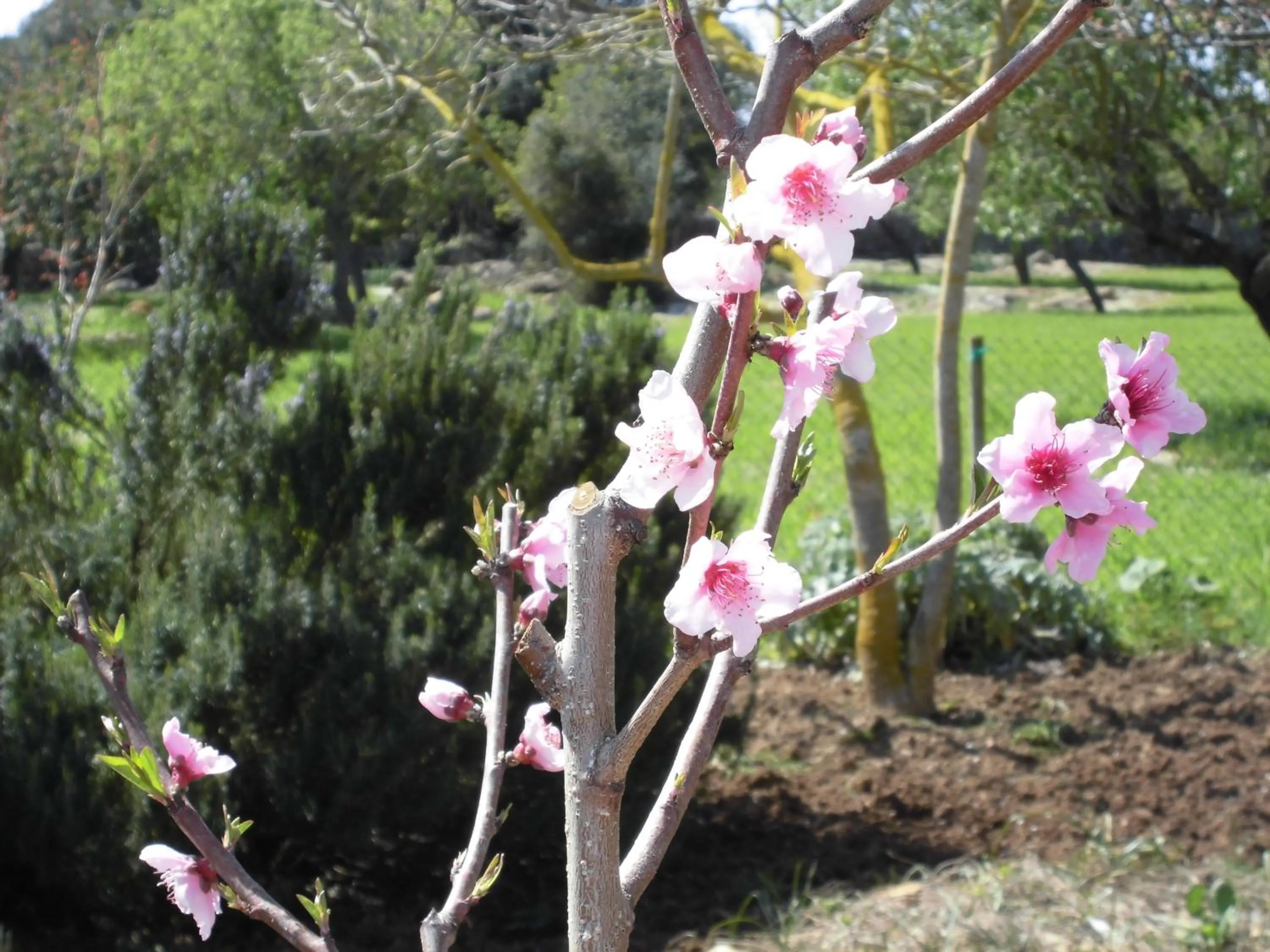 Day in Agroturismo Na Set Centes - Adults Only