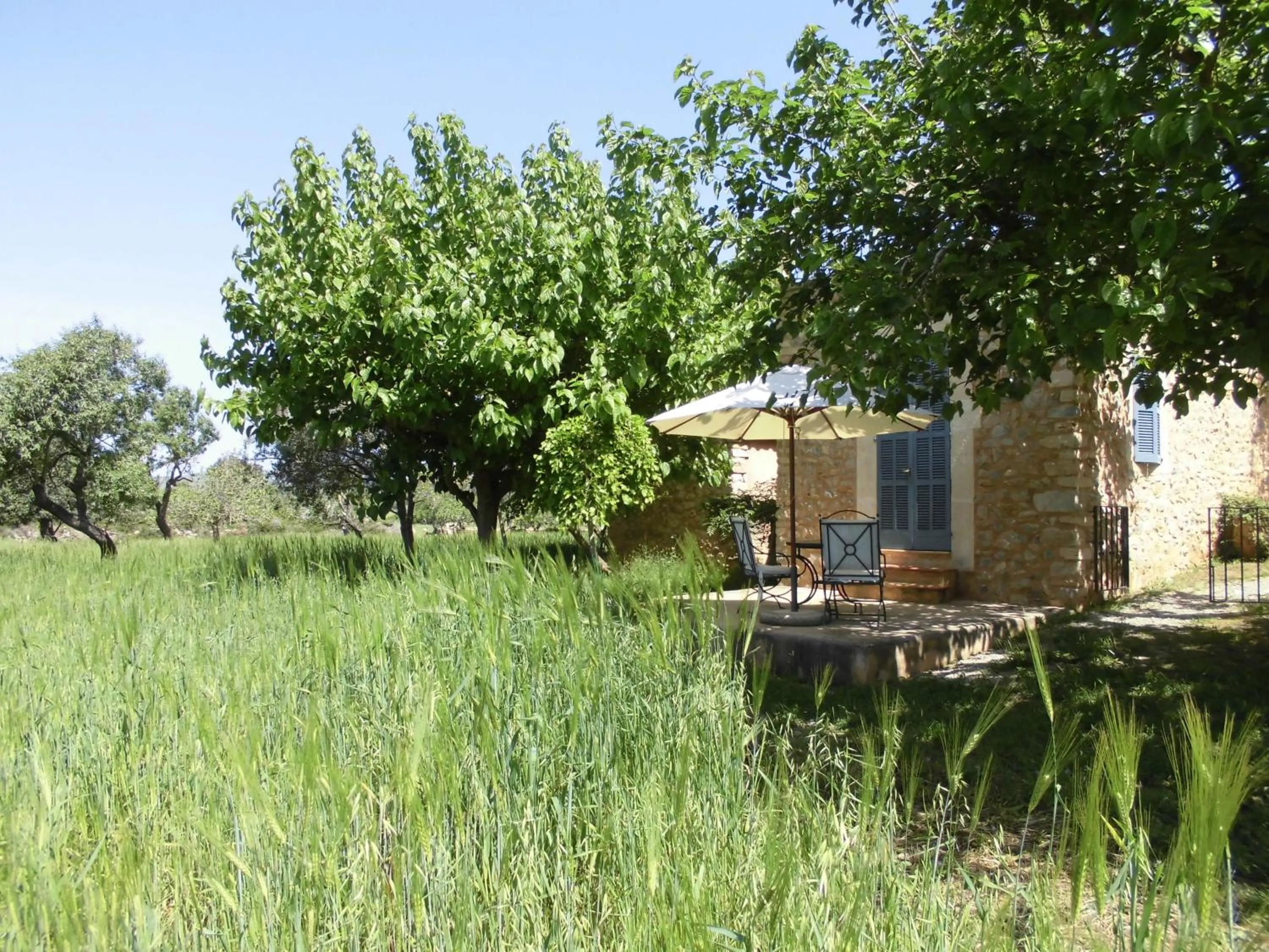 Patio in Agroturismo Na Set Centes - Adults Only