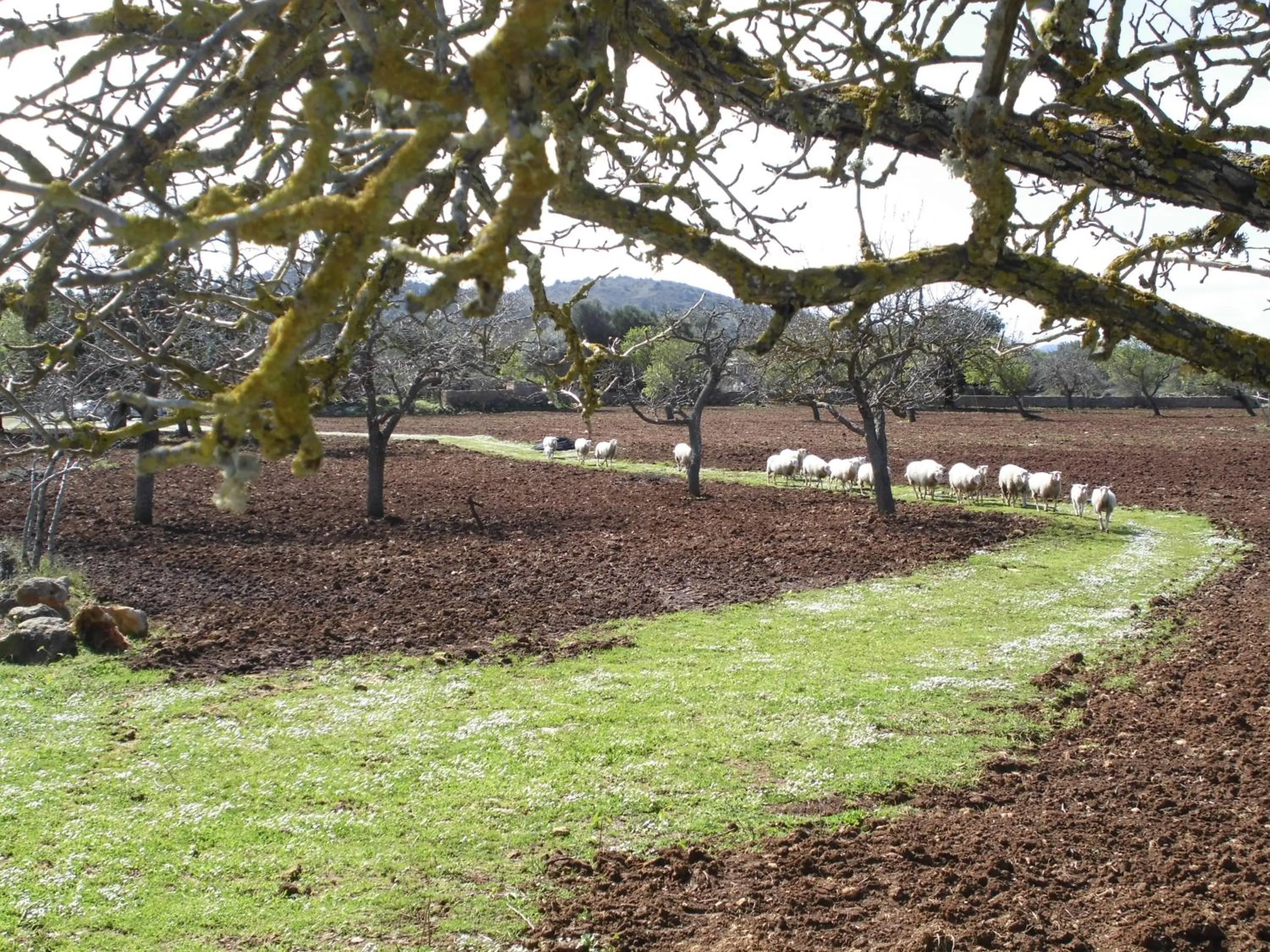 Other in Agroturismo Na Set Centes - Adults Only