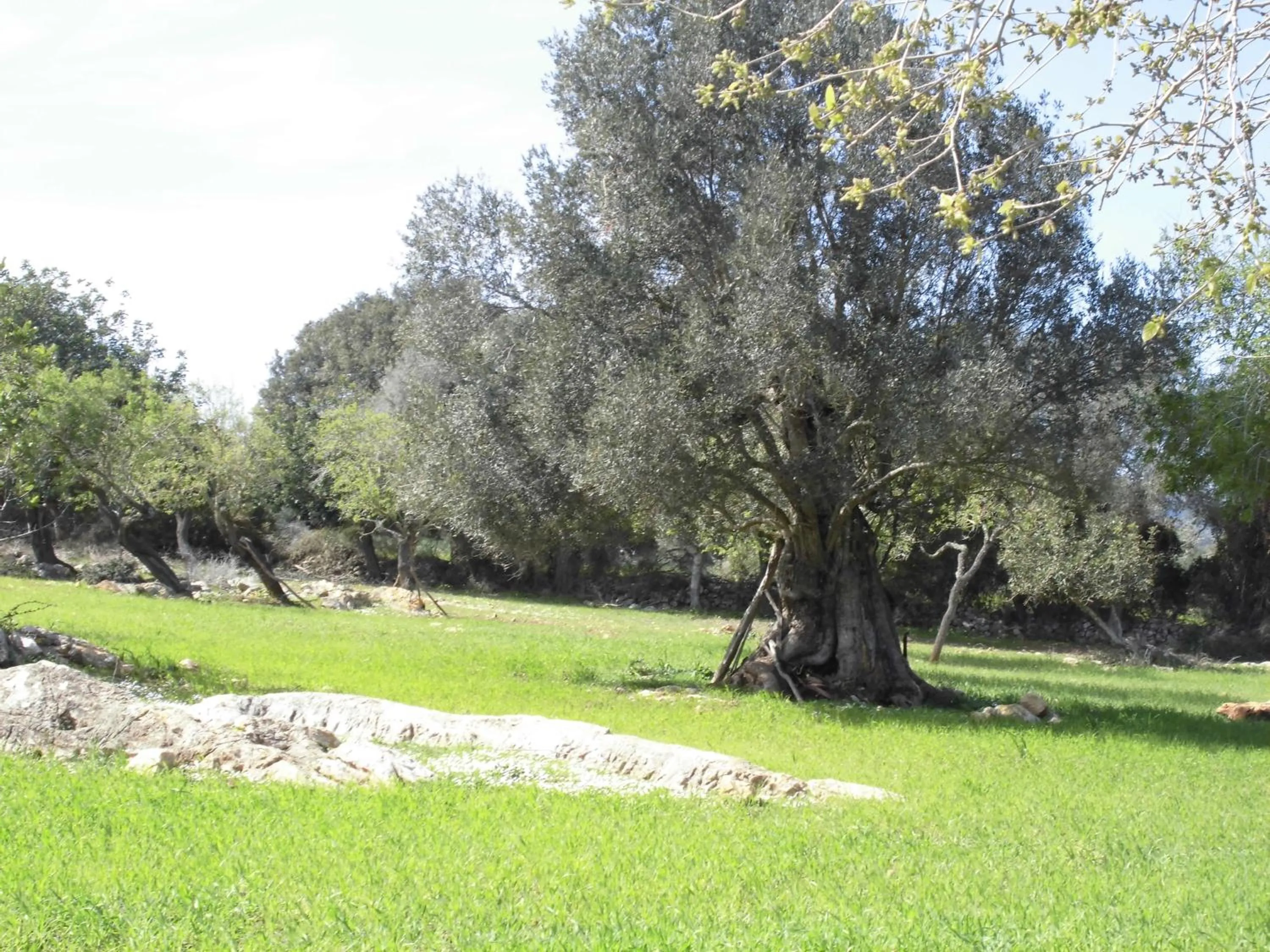 Day in Agroturismo Na Set Centes - Adults Only