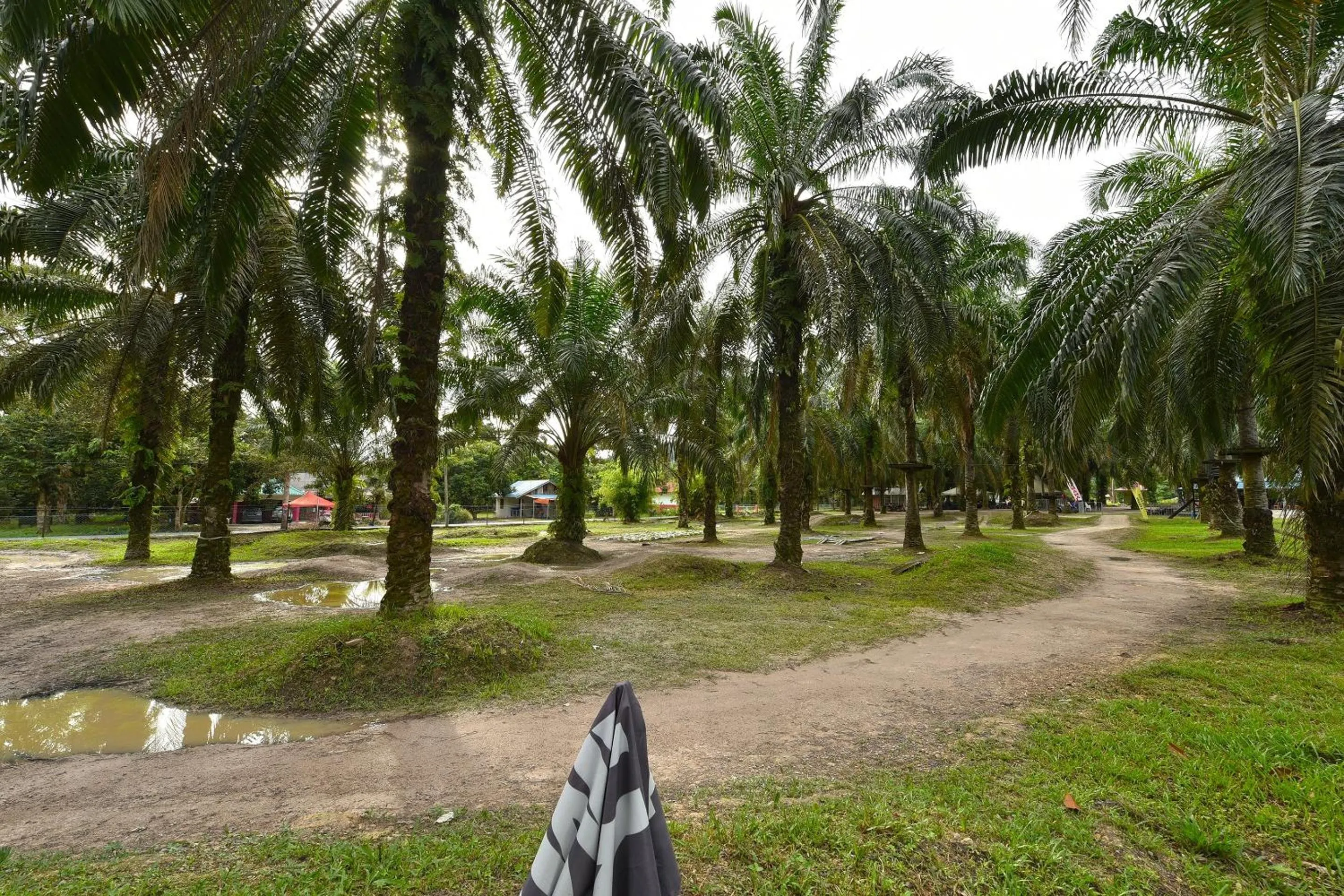Lobby or reception in Hotel O Otternest @ Gunung Pulai 2