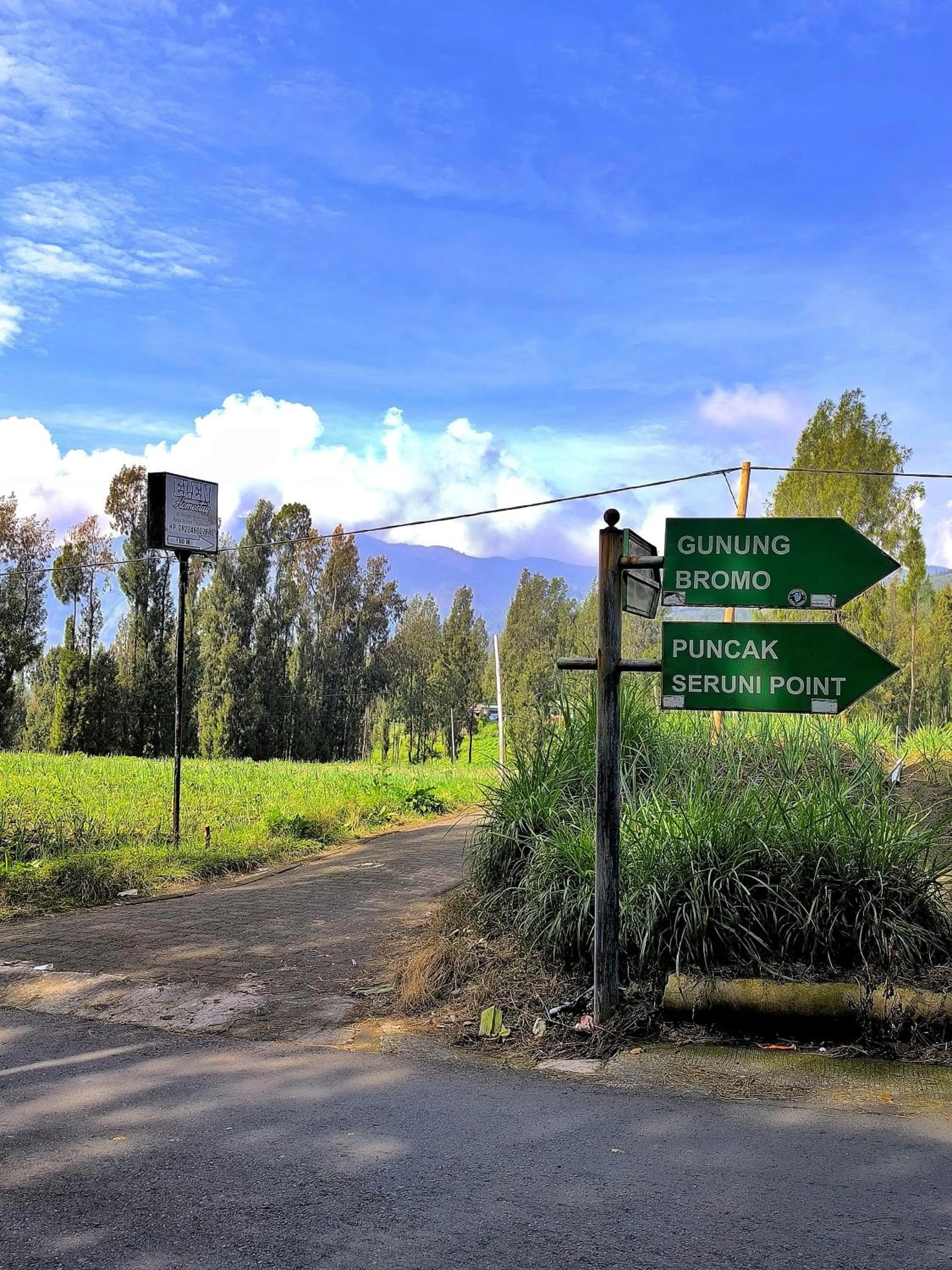 View (from property/room) in Elen Homestay by ABM