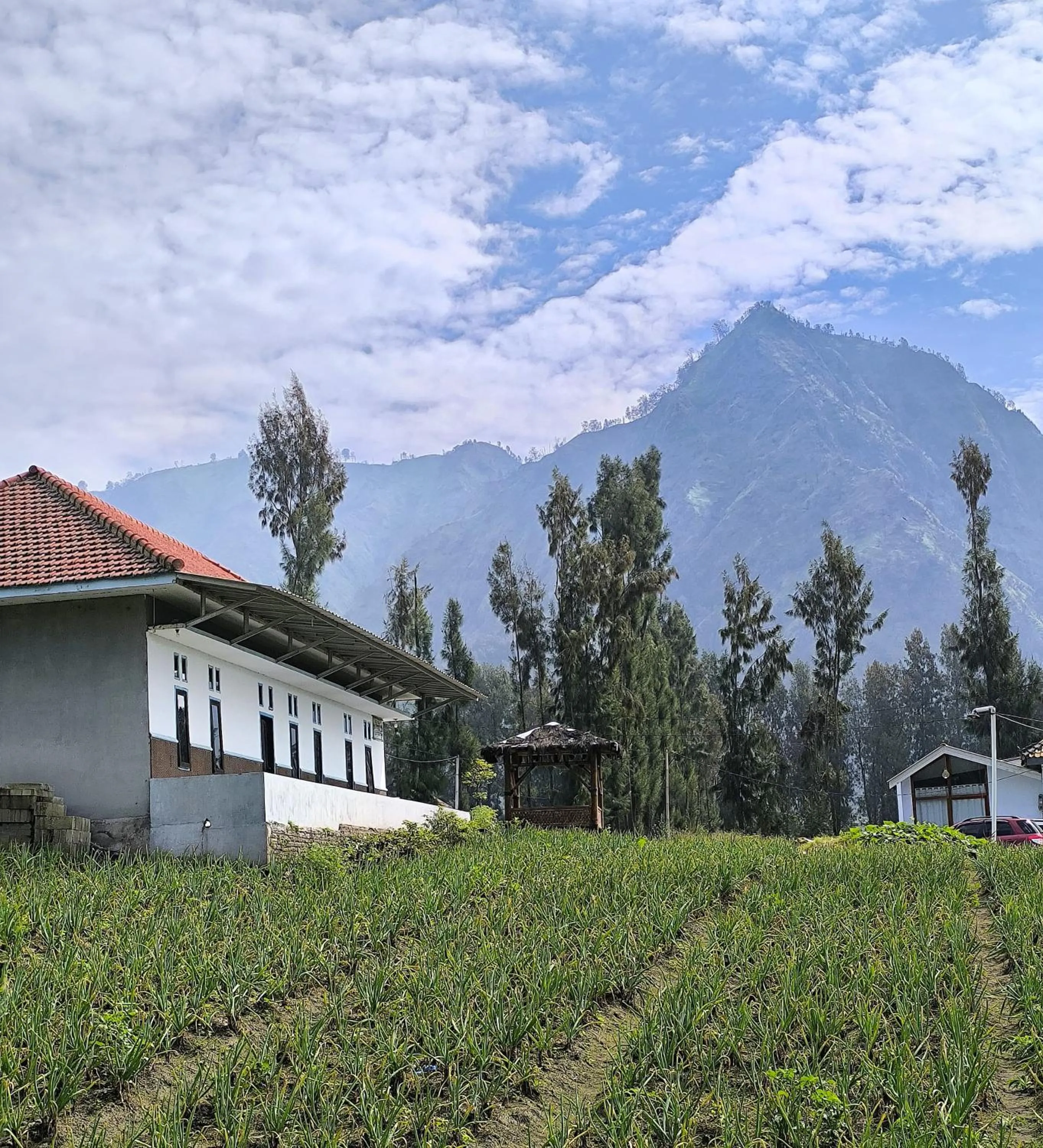 Property building in Elen Homestay by ABM