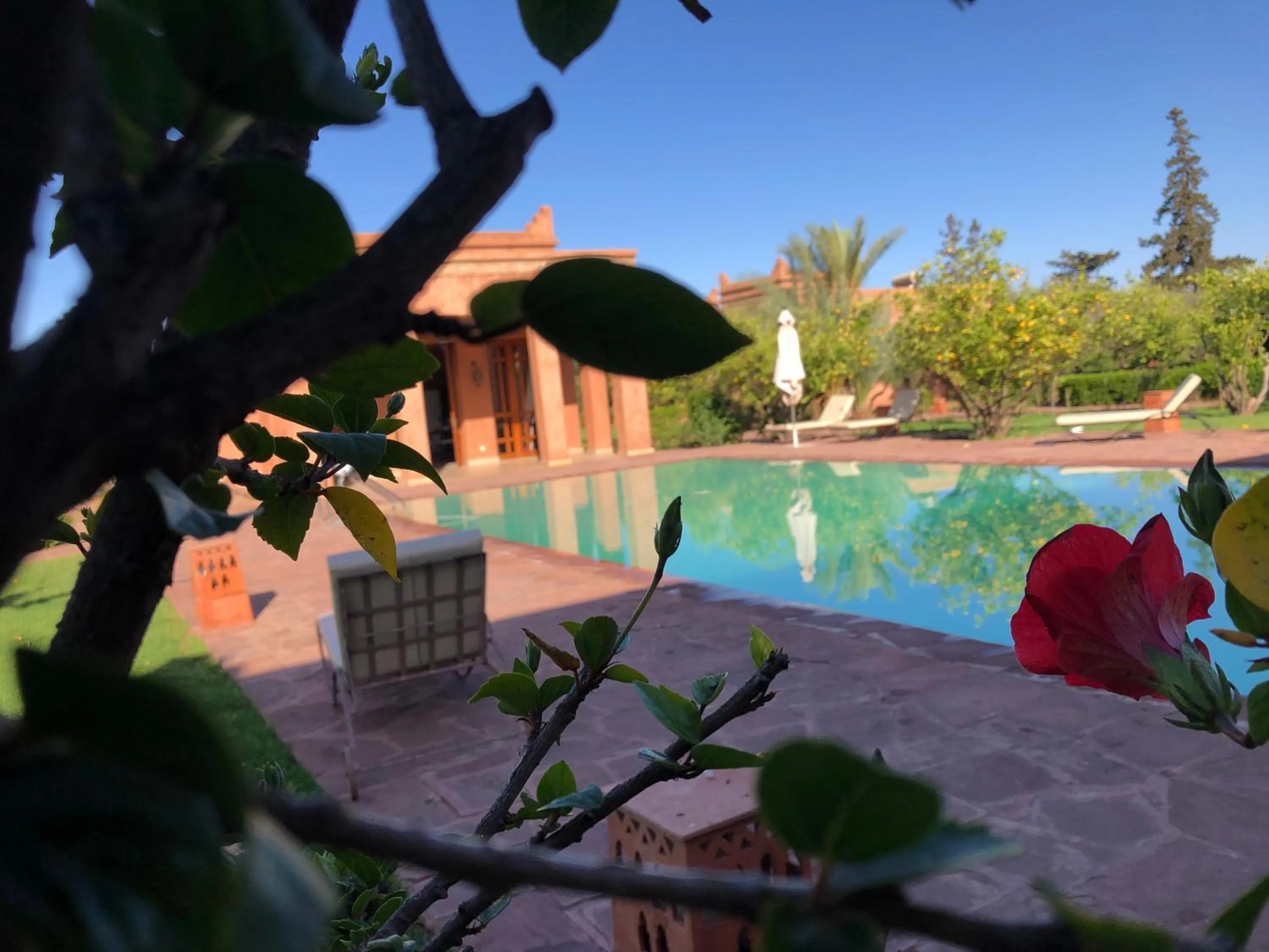Swimming pool in Domaine Casa Cecilia