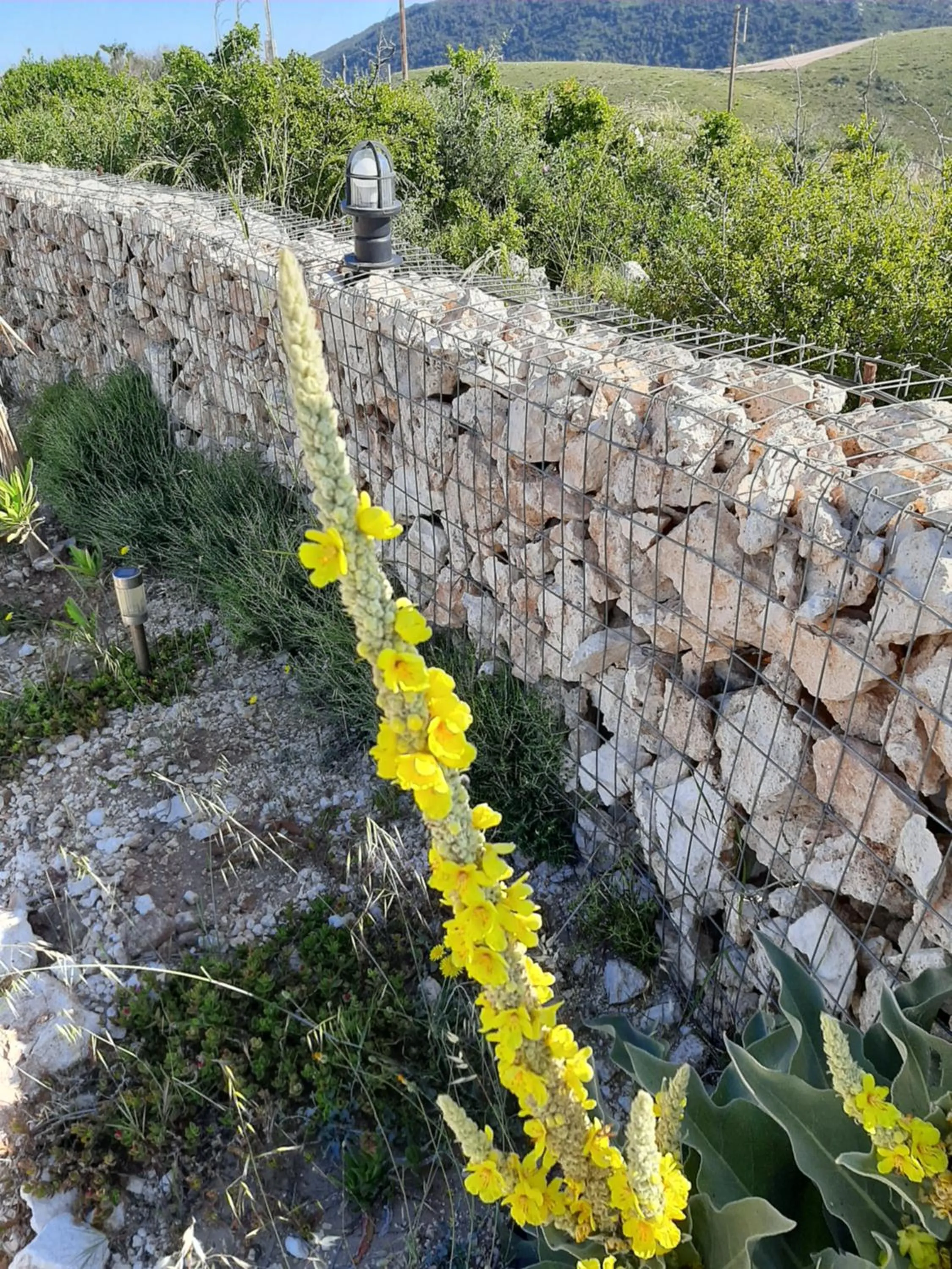 Agallio Nature Resort - Adults Only