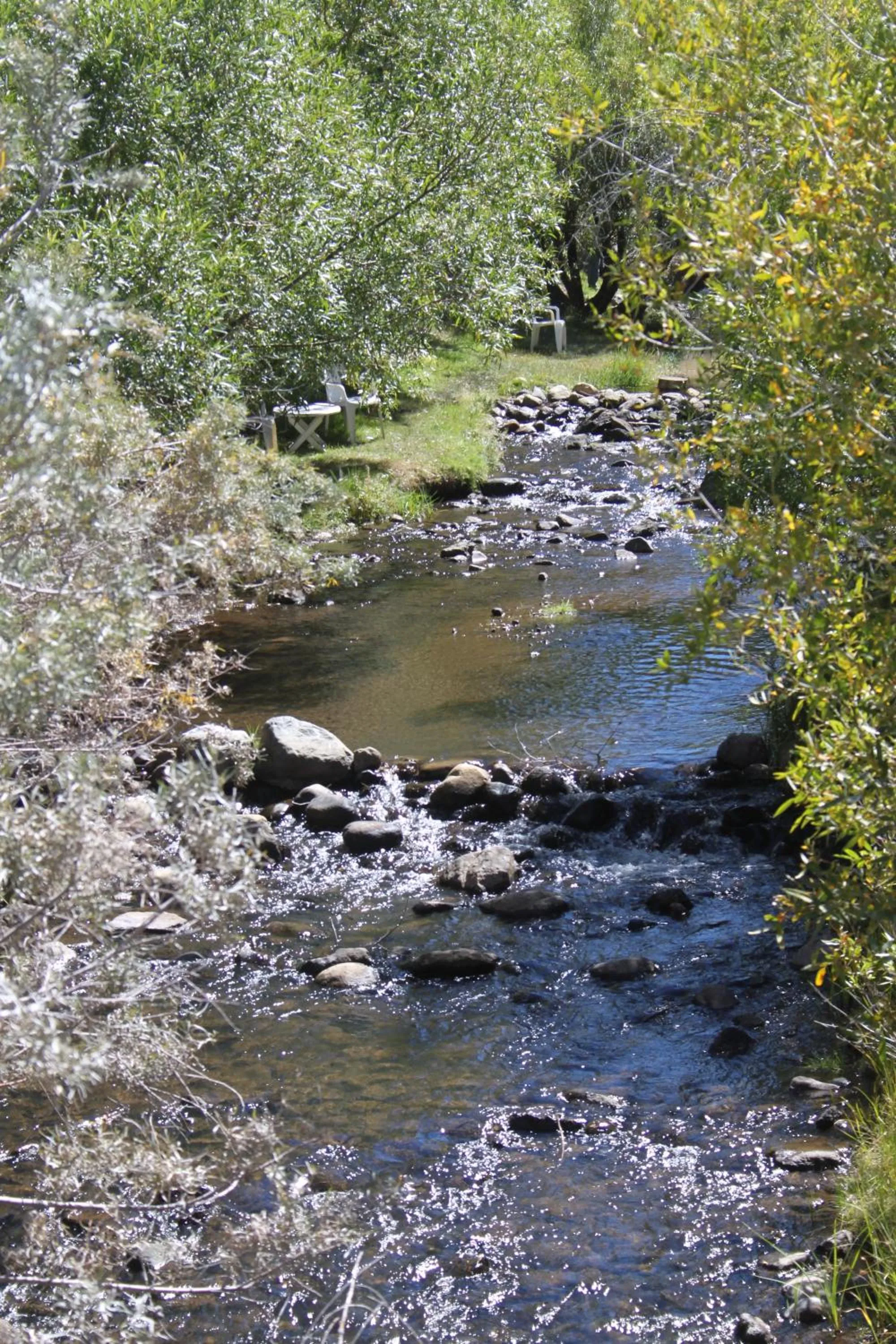 Other in Virginia Creek Settlement