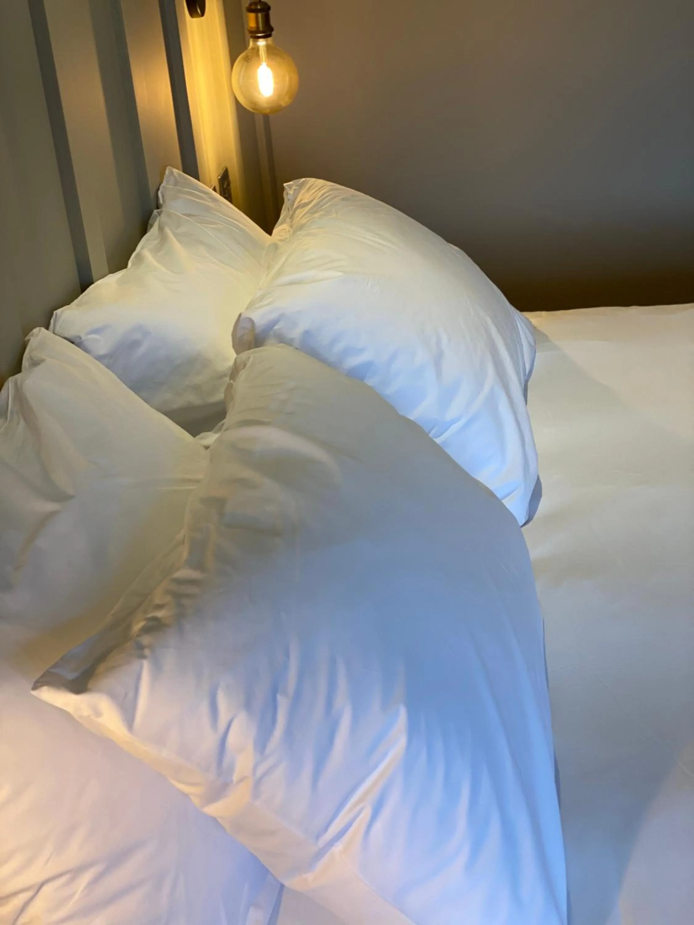 Bed in Lodge at Tap Haus