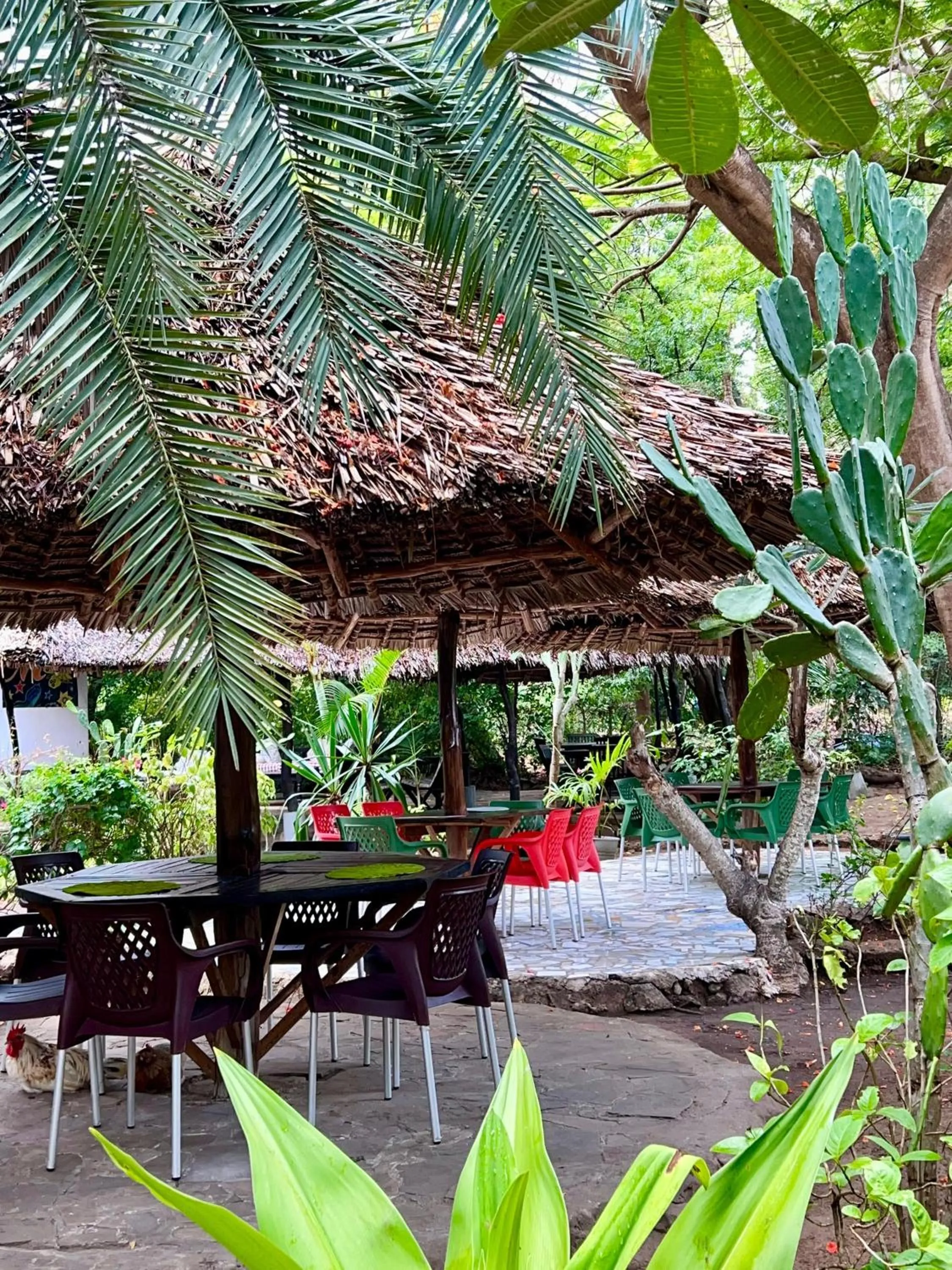 Patio in Papillon Garden Bar Villas
