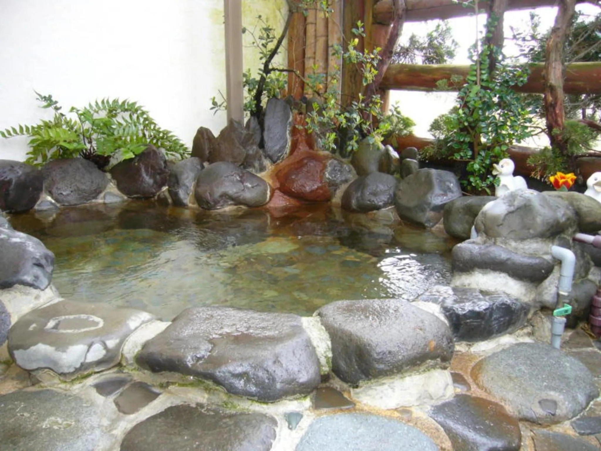 Other in Pension Surf Rider