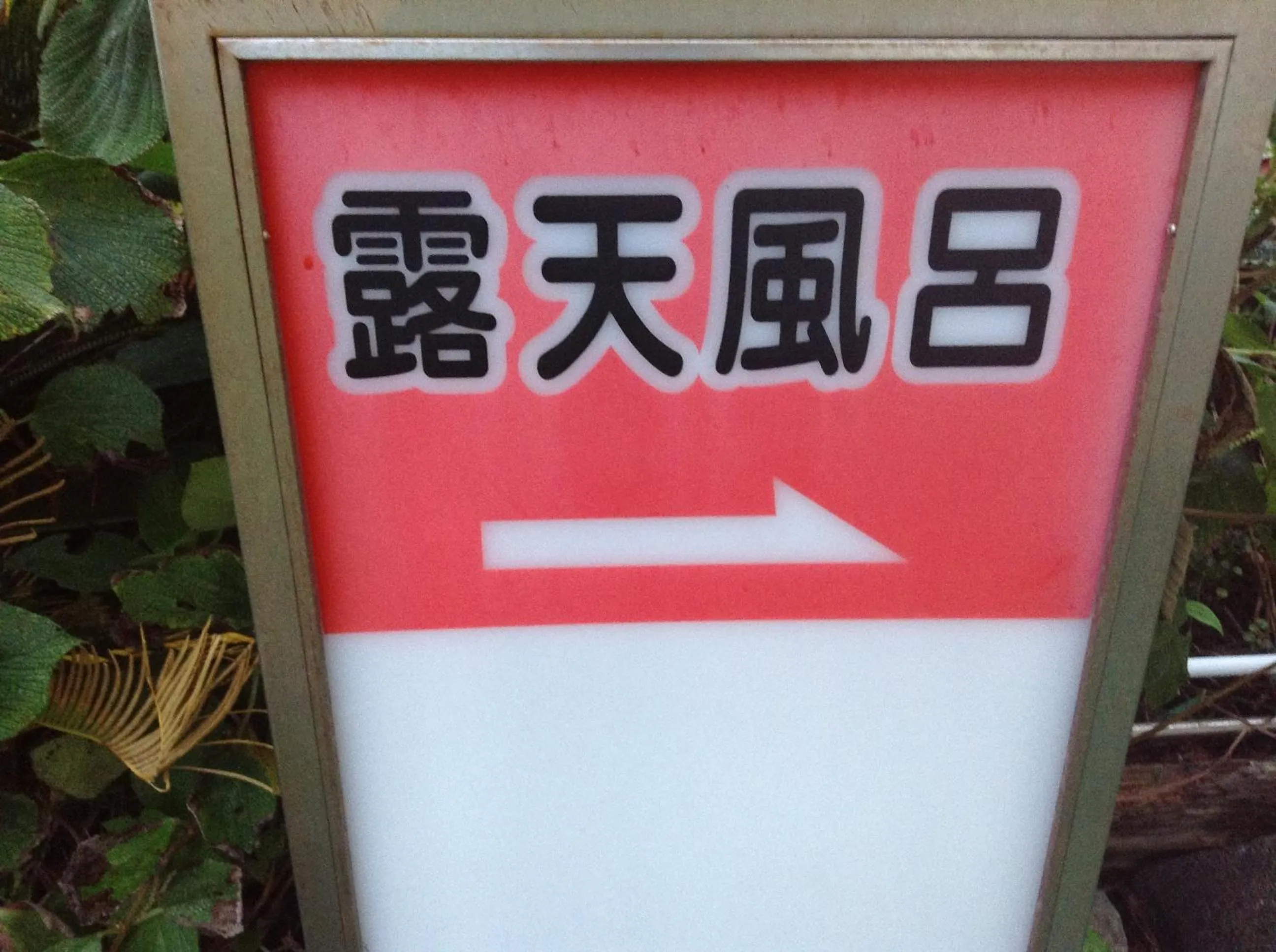 Other in Pension Surf Rider