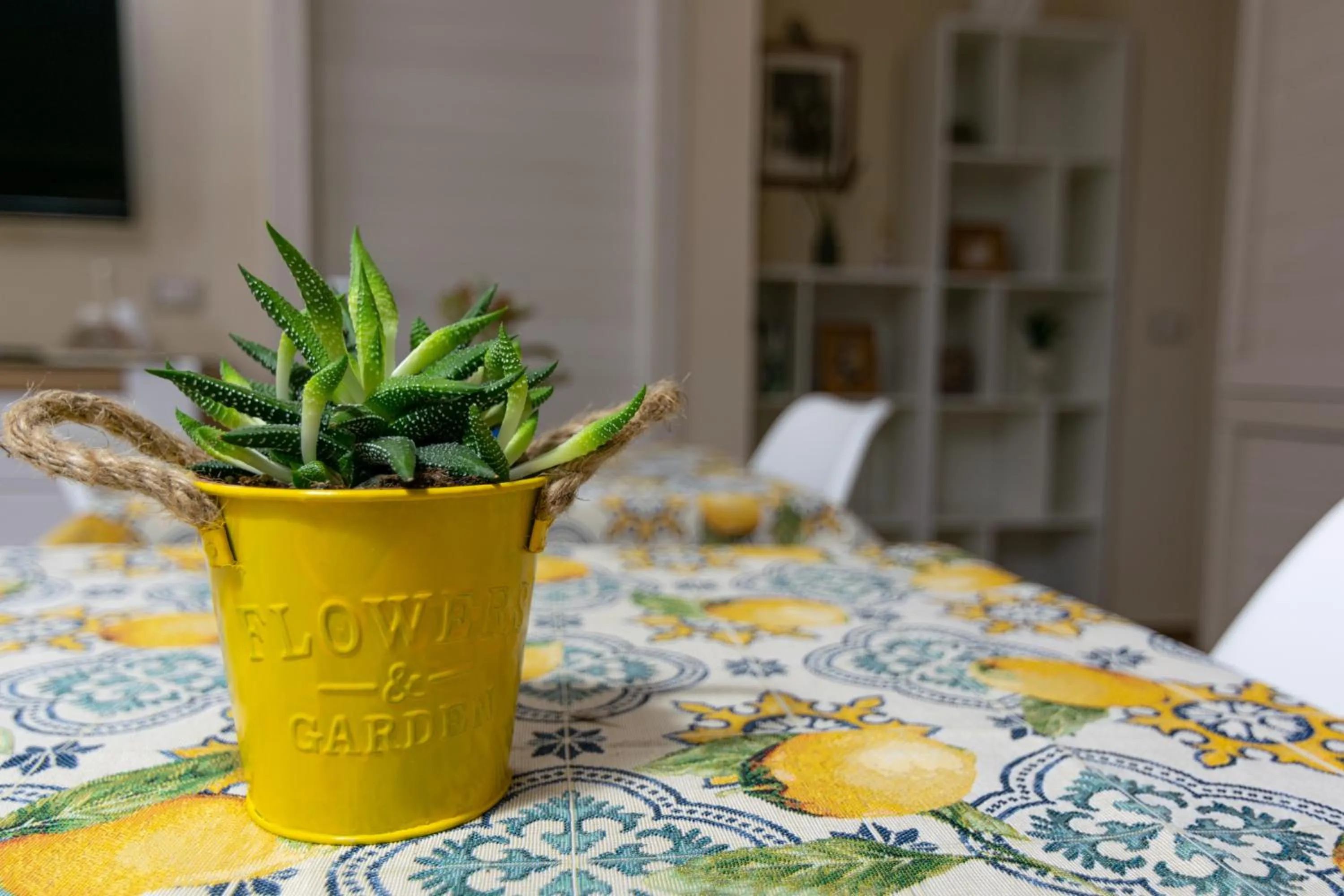 Communal lounge/ TV room in Apollo Bed & Breakfast