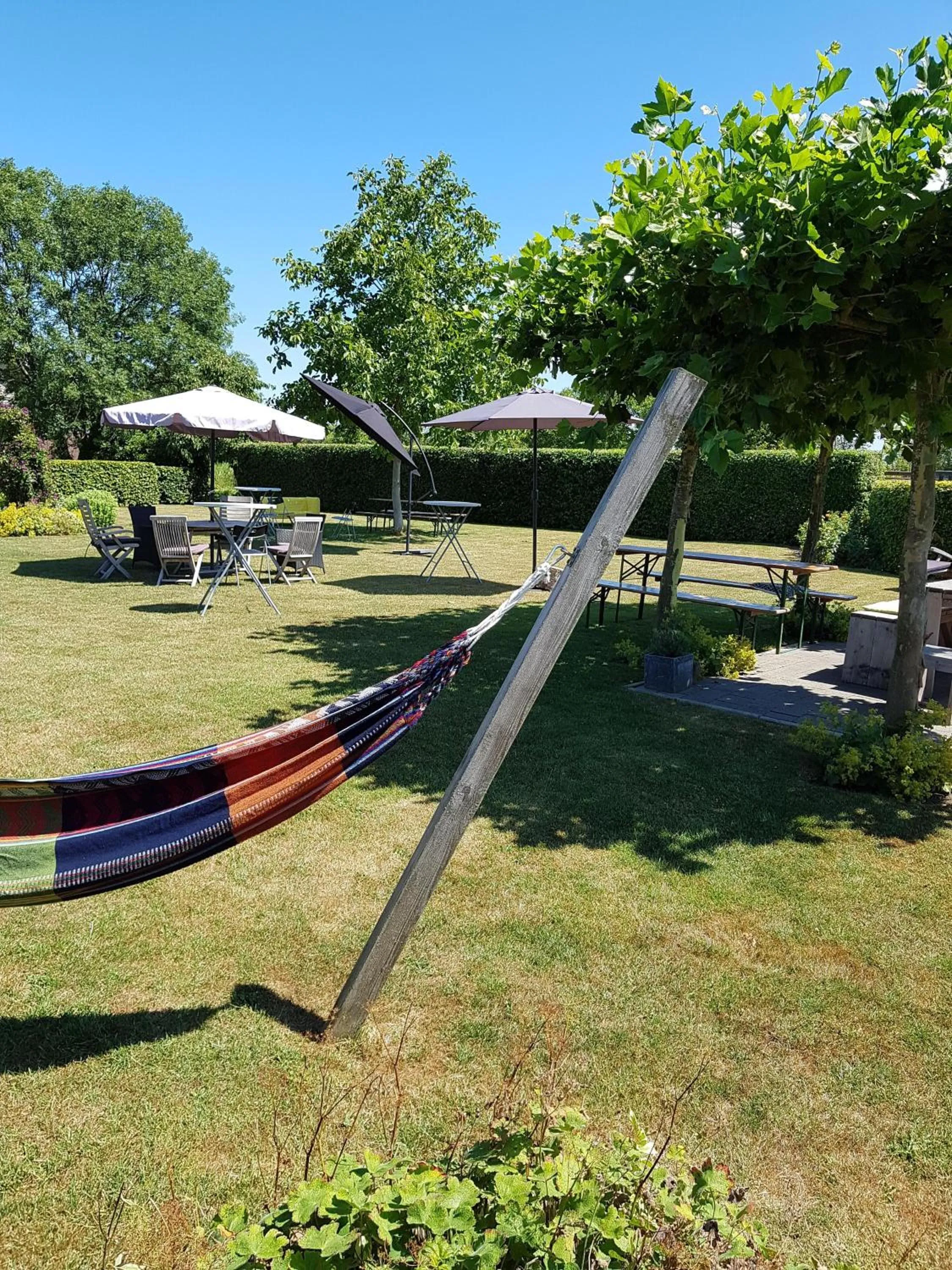 Garden in B&B Biesehof