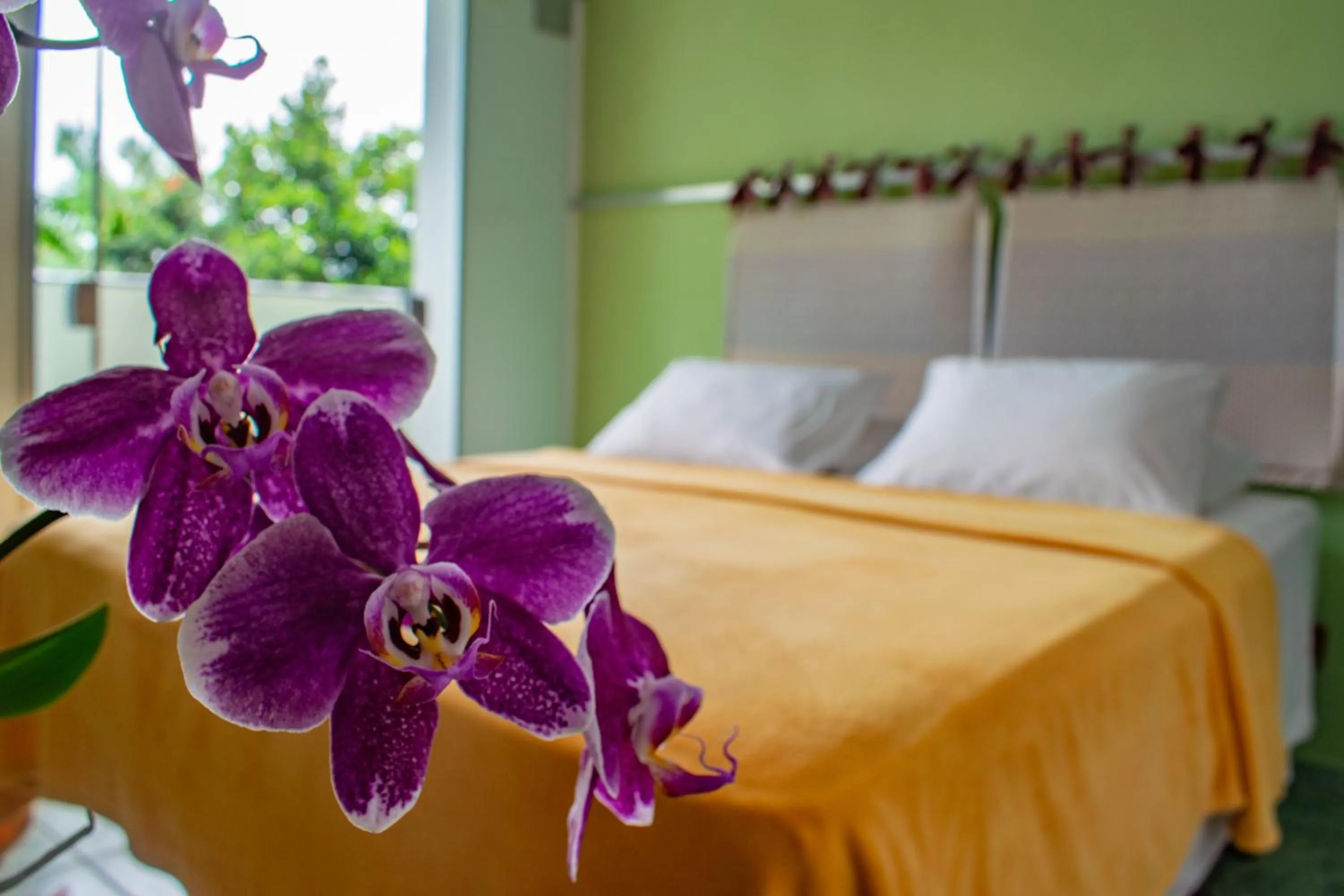 Bedroom, Bed in Pousada do Tenório