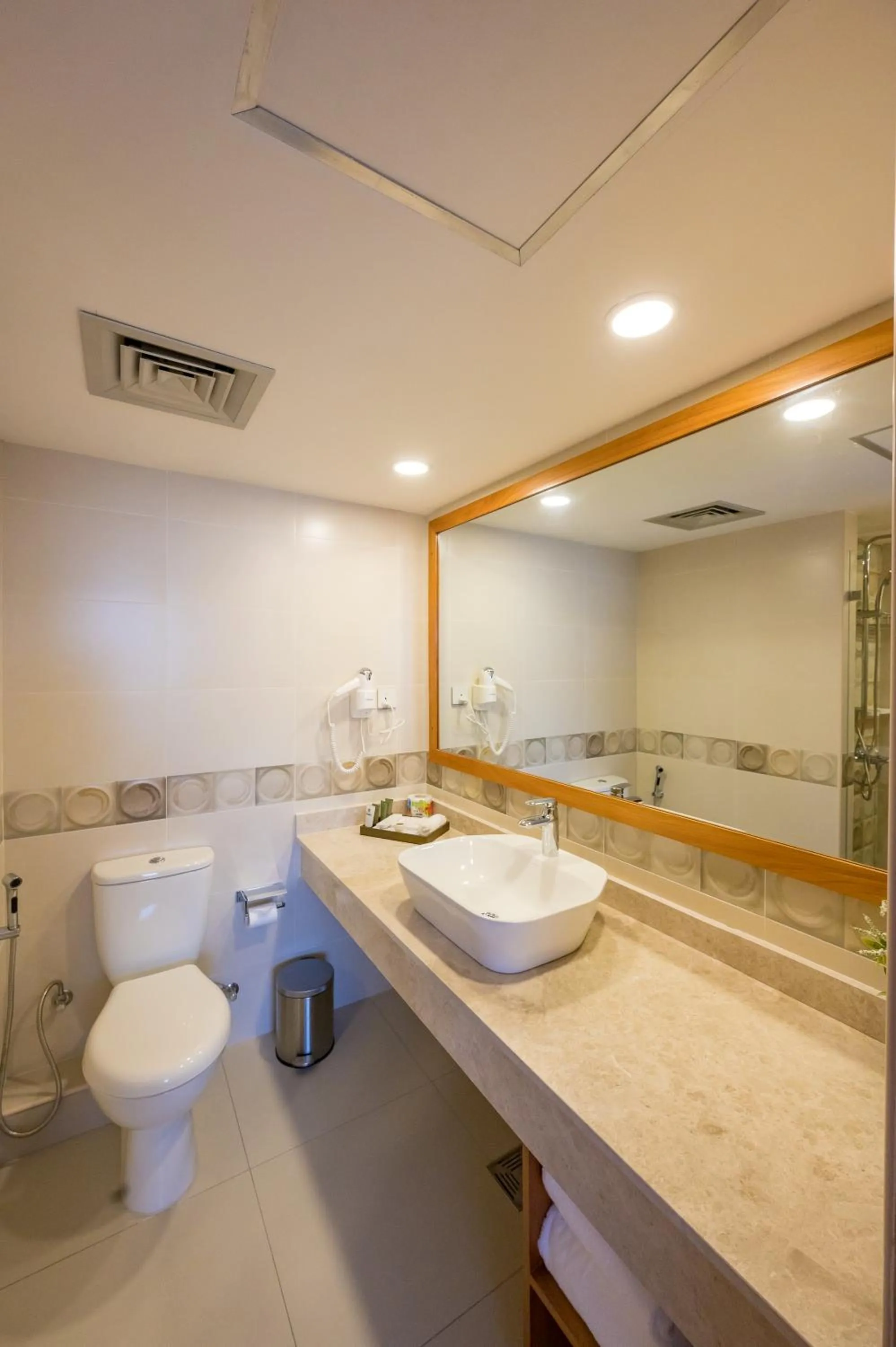 Toilet in Sea Cliff Court Hotel & Luxury Apartments