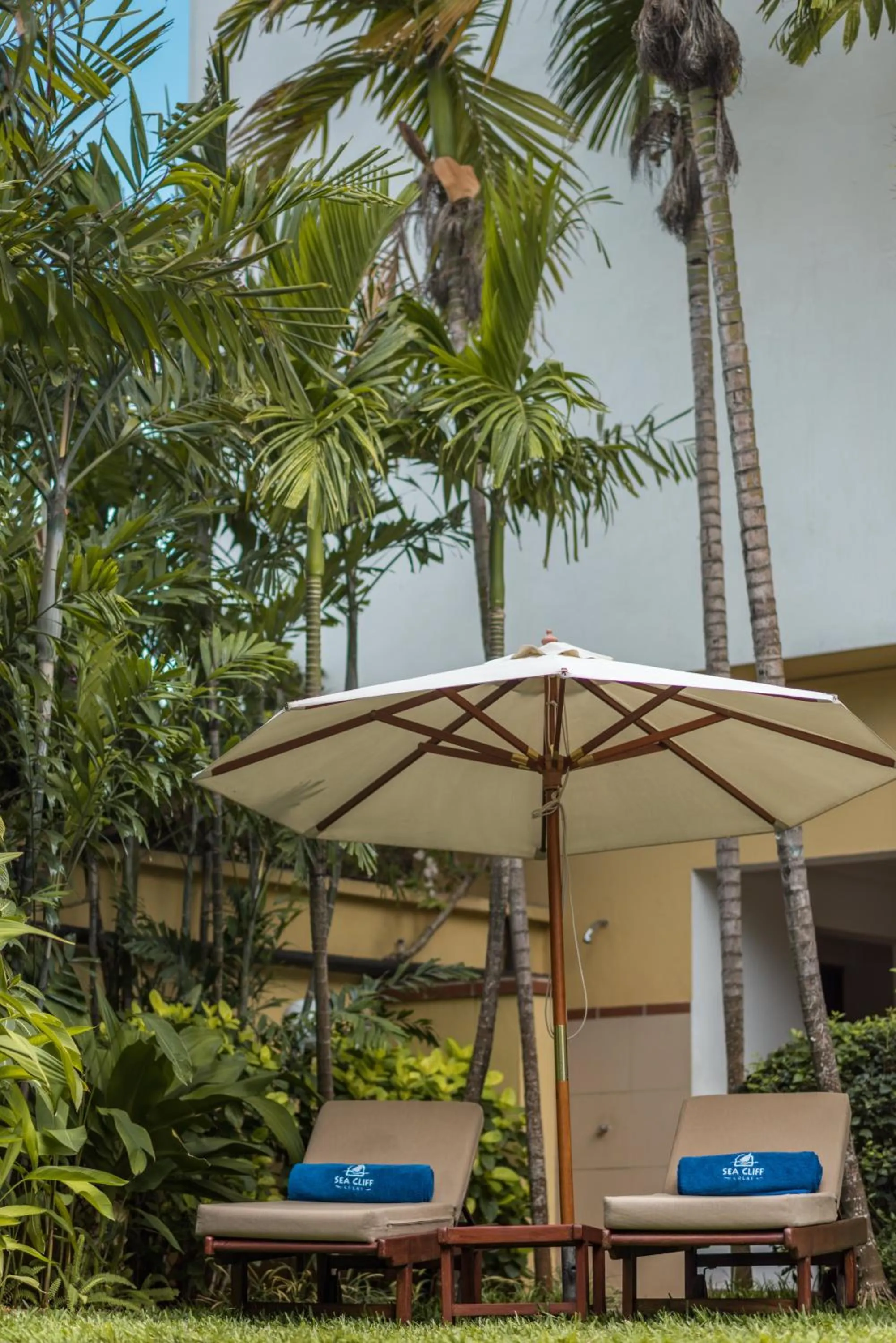 Garden in Sea Cliff Court Hotel & Luxury Apartments