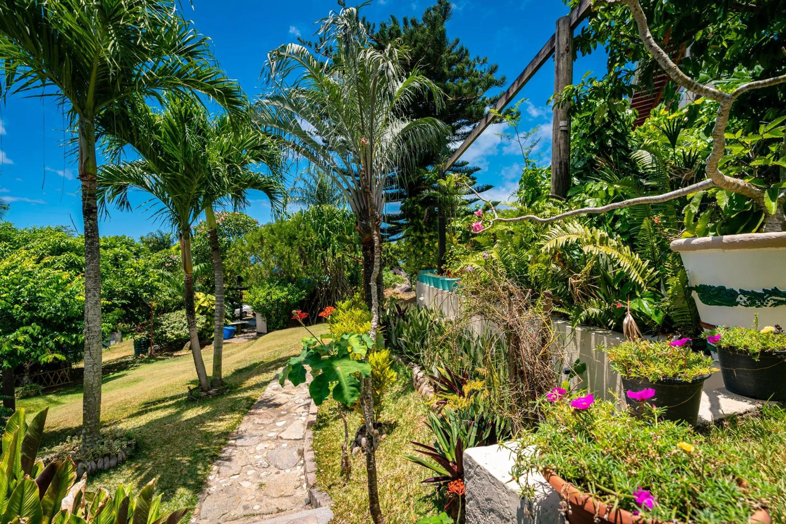 Natural landscape in Lemongrass Lodge