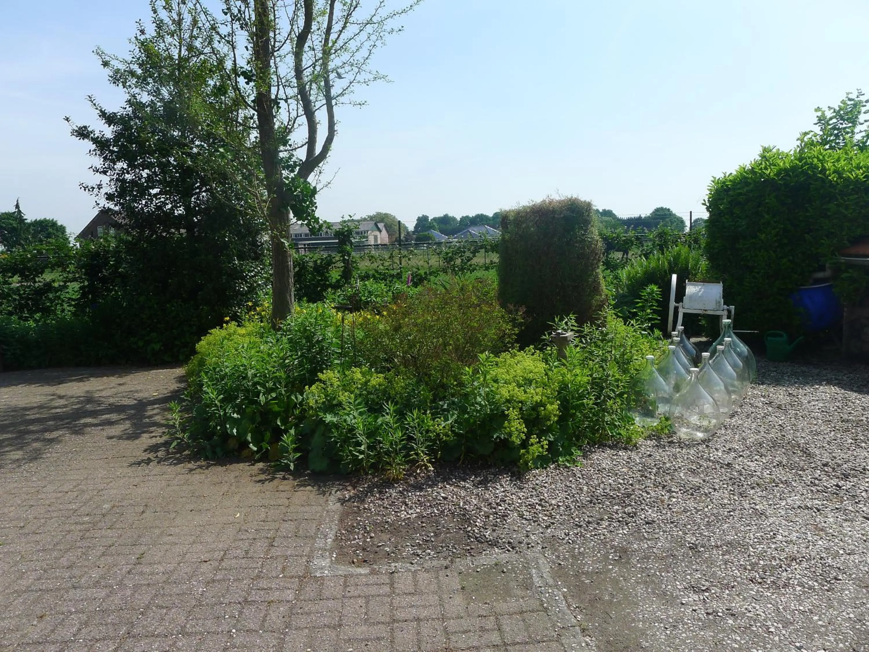 Garden view in B&B De Kleine Wijngaard