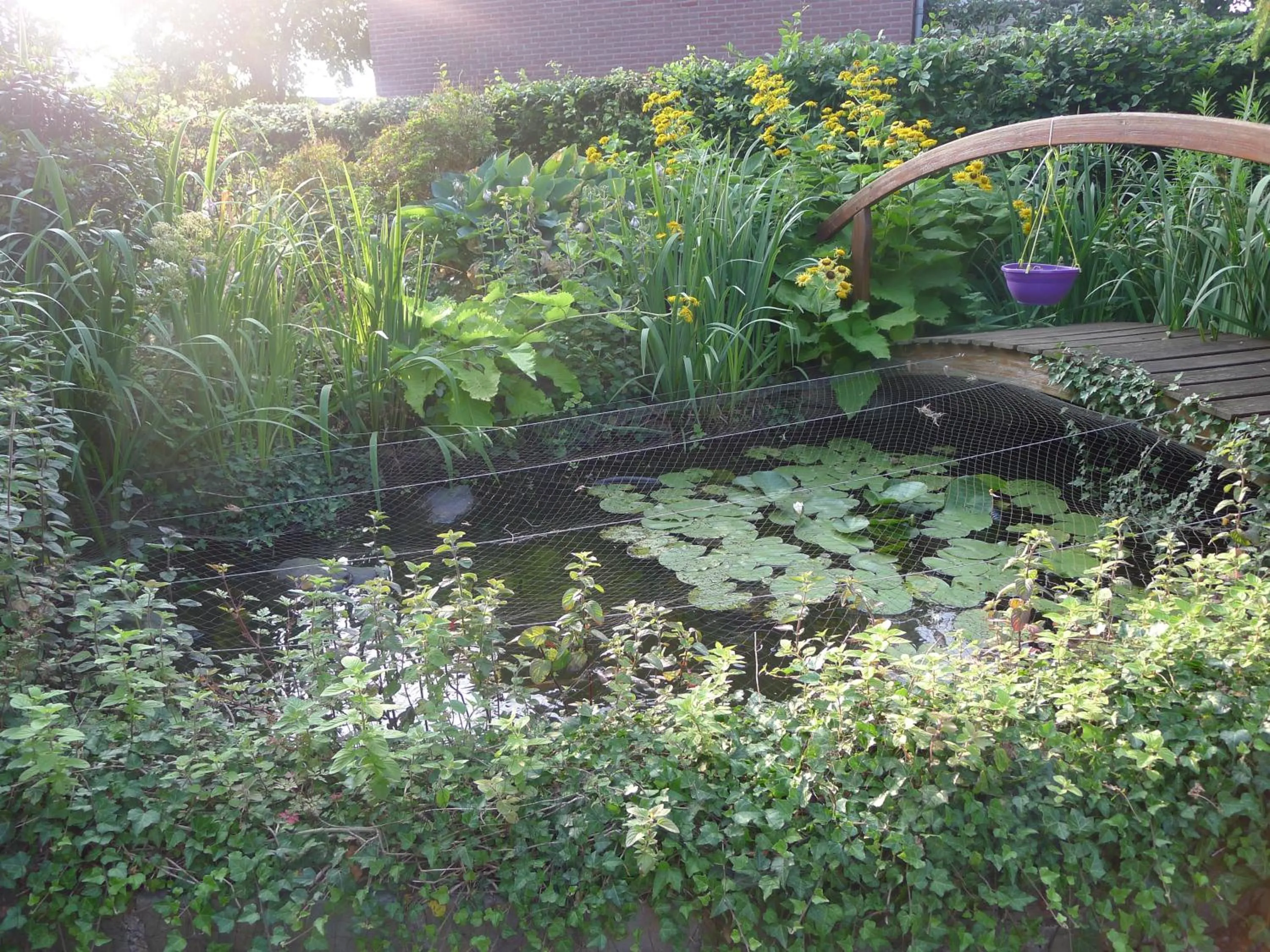 Summer in B&B De Kleine Wijngaard