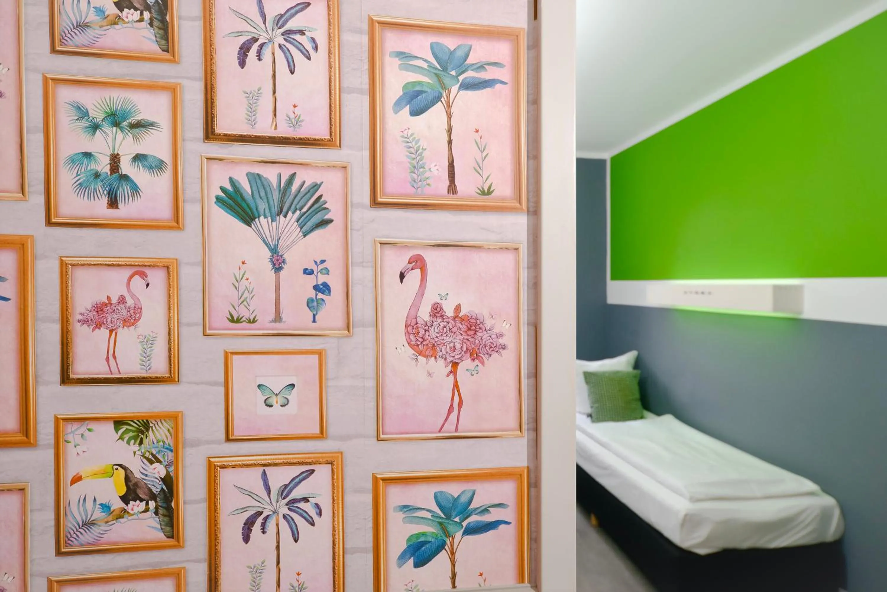 Photo of the whole room, Bed in Old Town Hostel