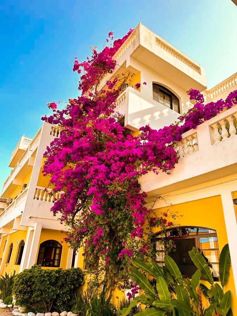 Hotel Parque Atlântico