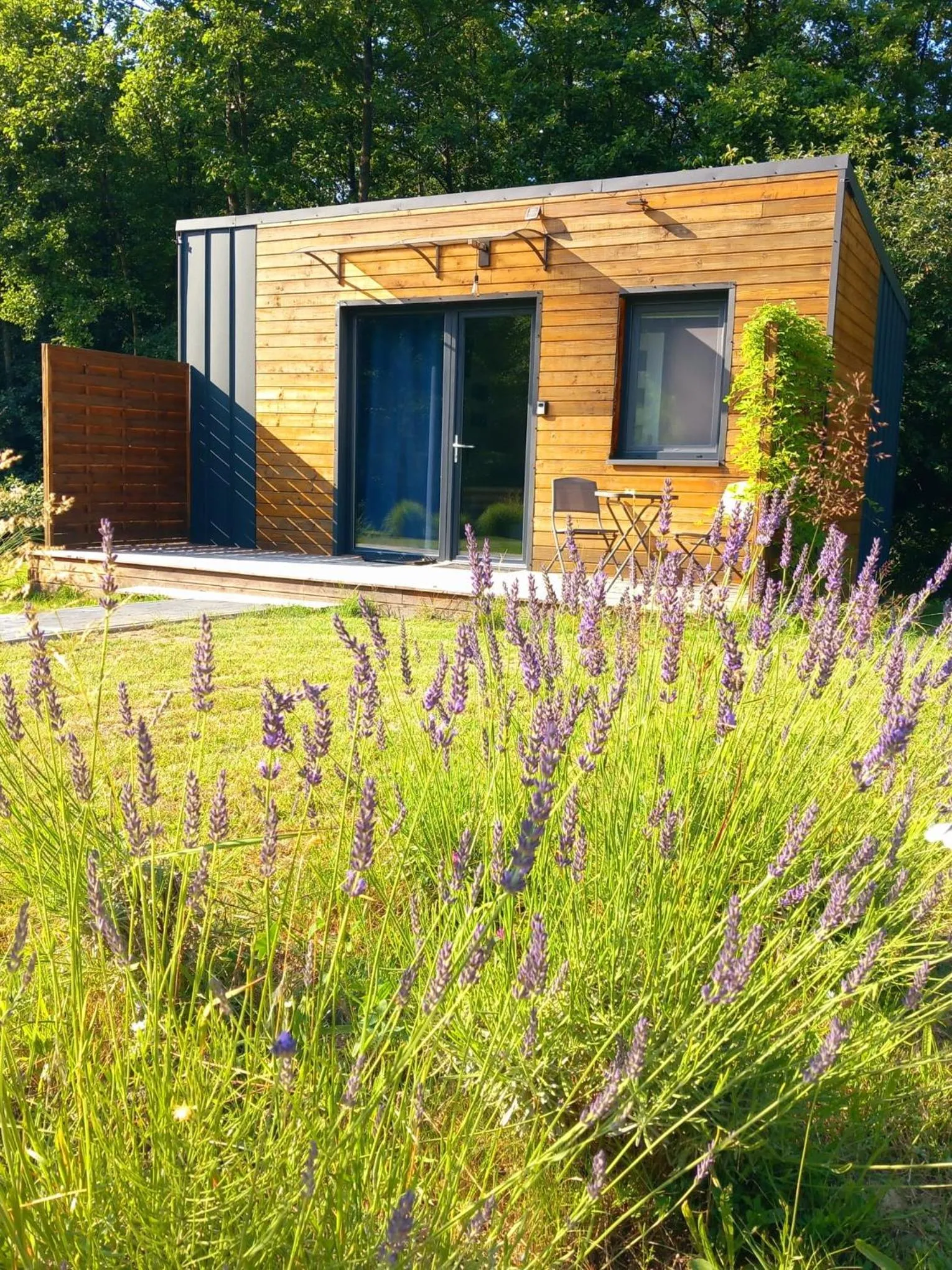 Property building in OSADA POD LASEM