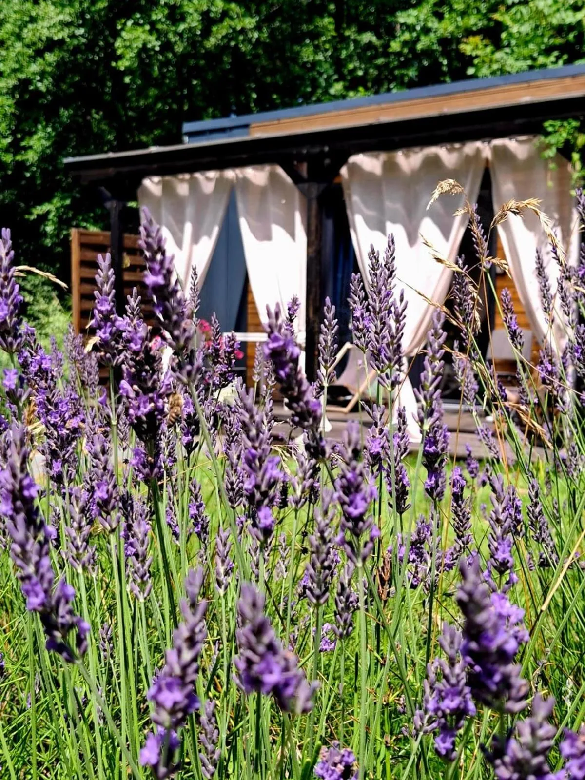 Property building in OSADA POD LASEM