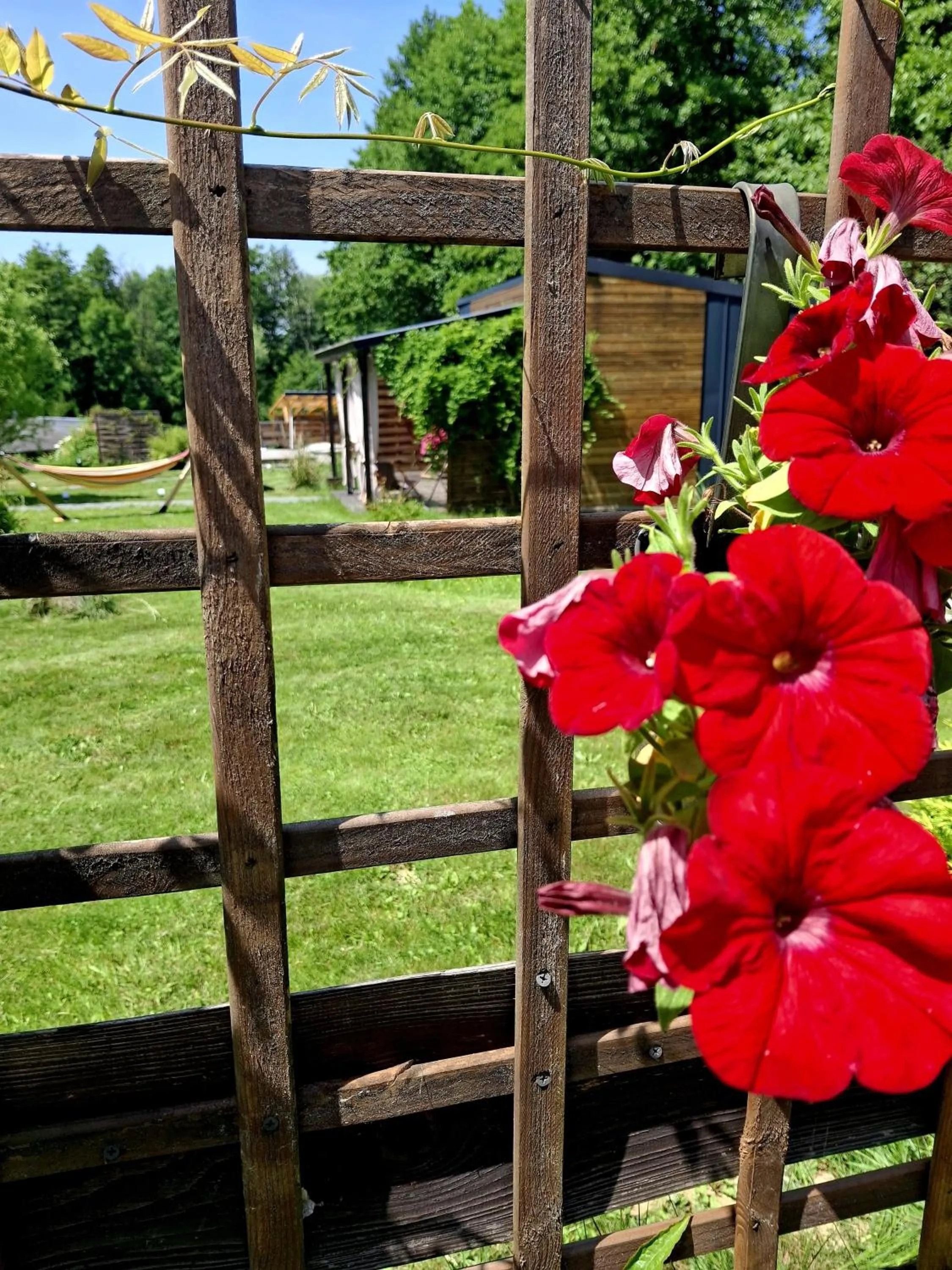 Garden in OSADA POD LASEM