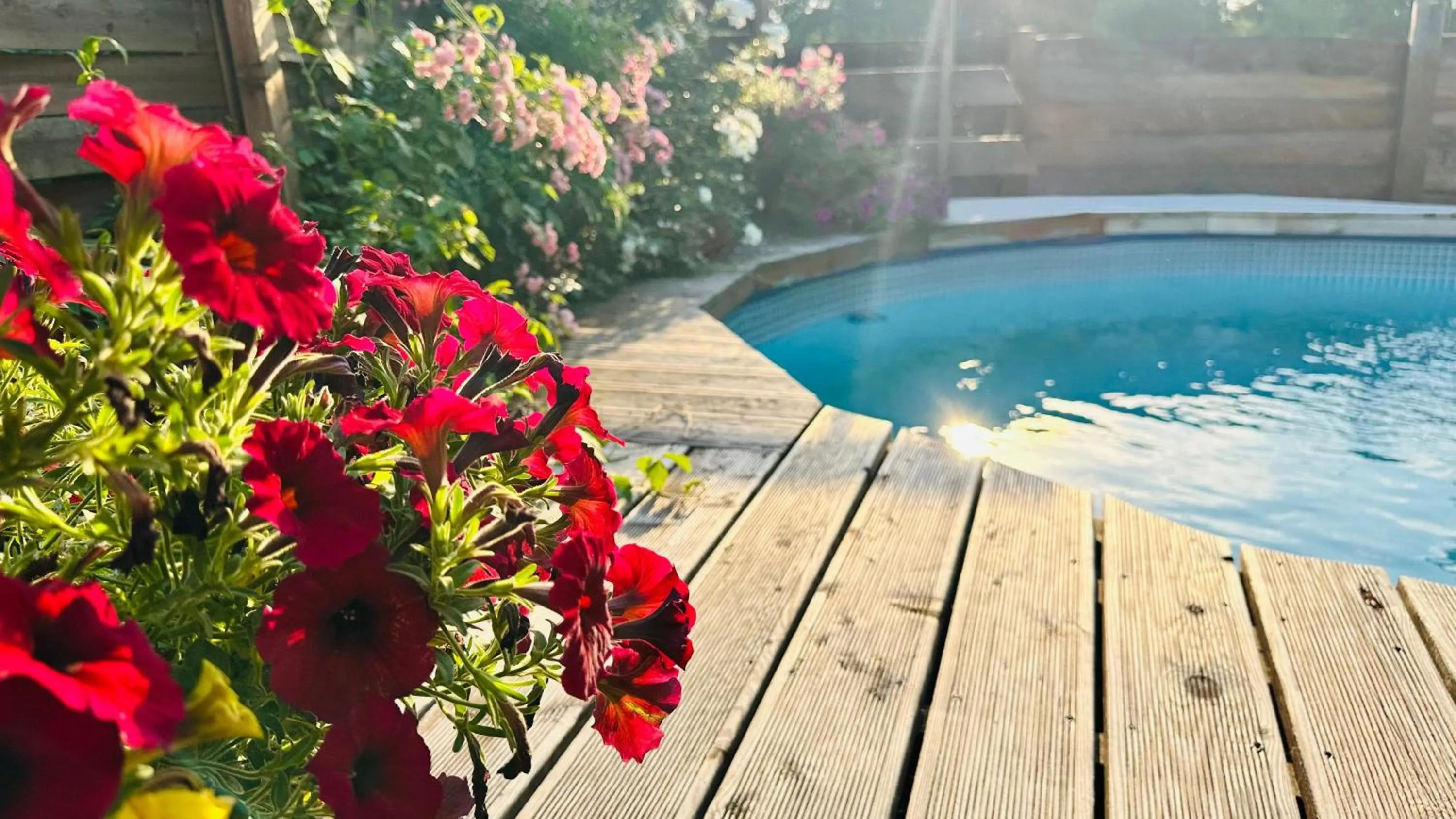 Pool view in OSADA POD LASEM