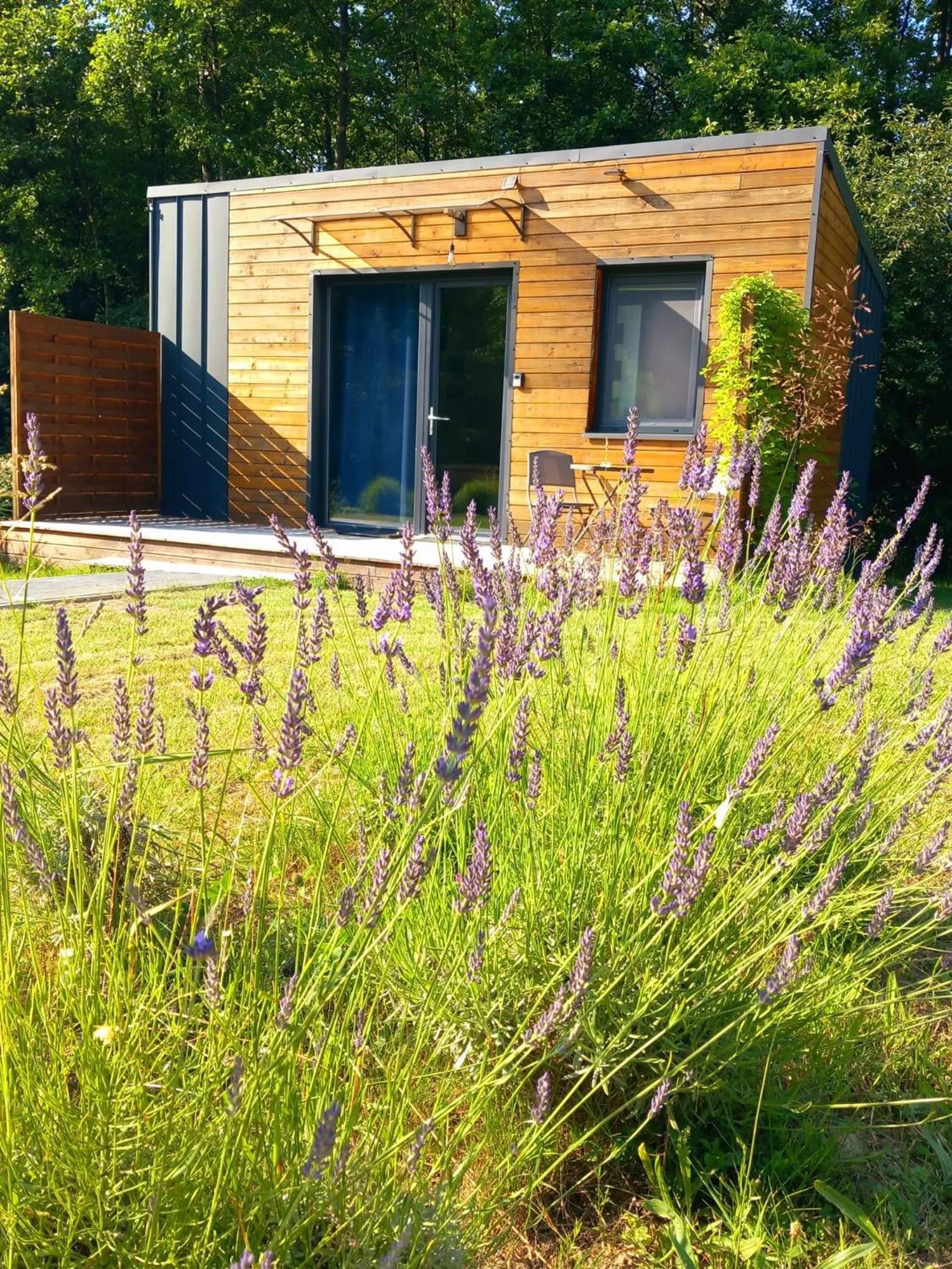 Property building in OSADA POD LASEM