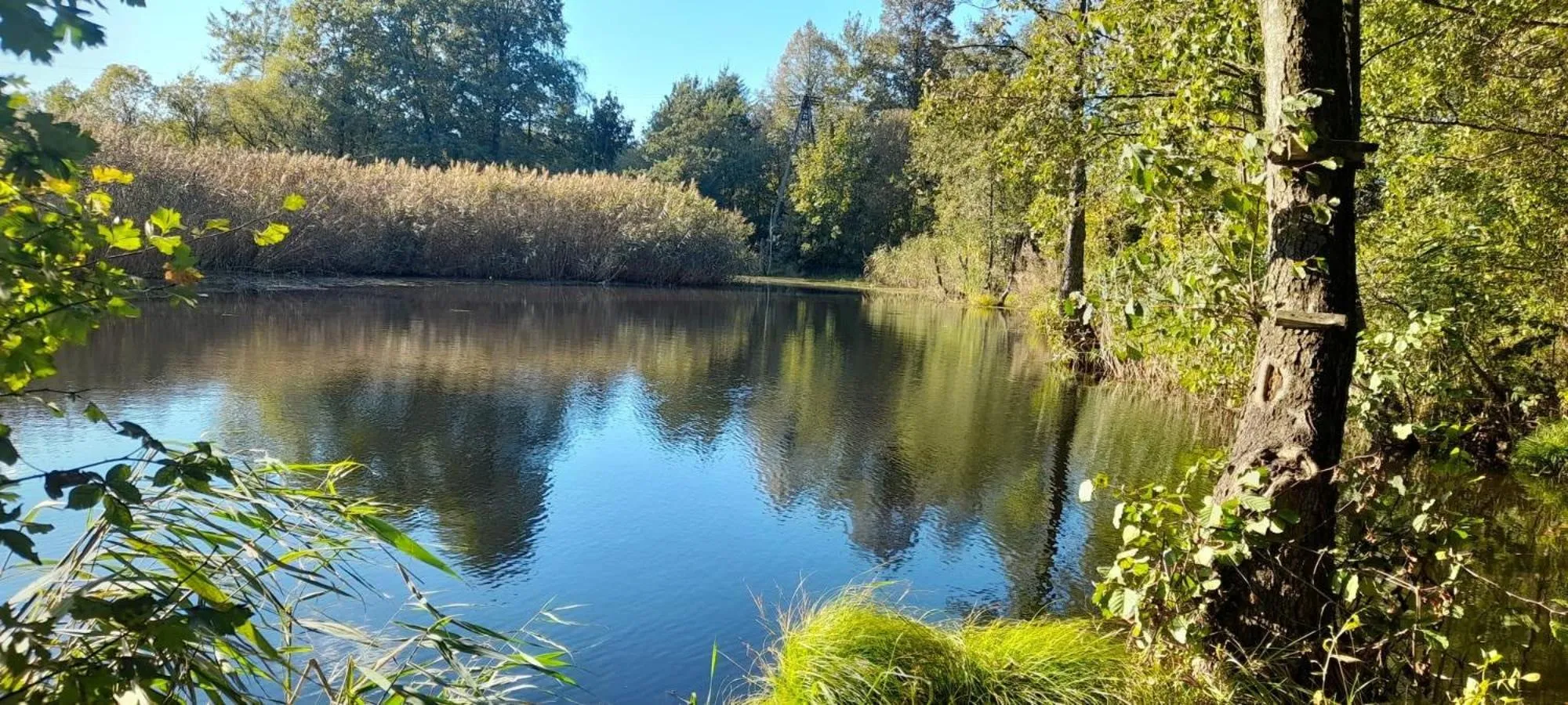 Natural landscape in OSADA POD LASEM