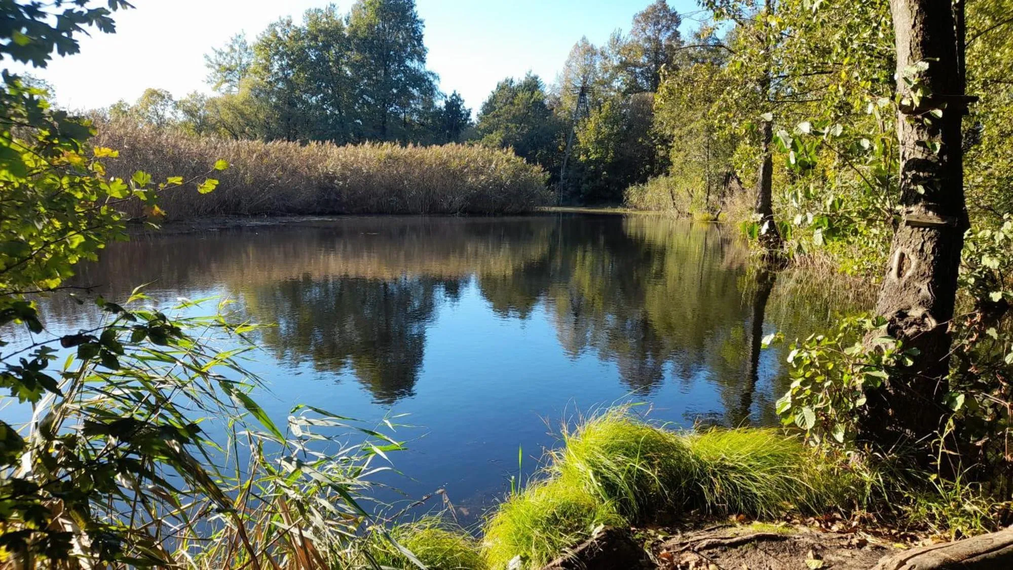 Natural landscape in OSADA POD LASEM