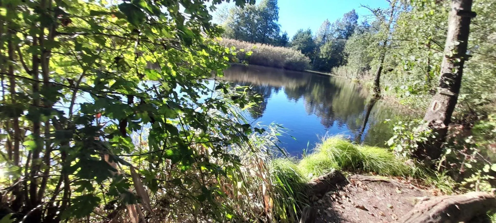 Natural landscape in OSADA POD LASEM