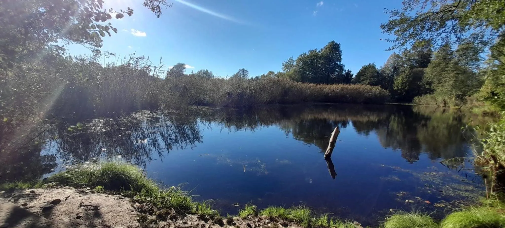 Natural landscape in OSADA POD LASEM