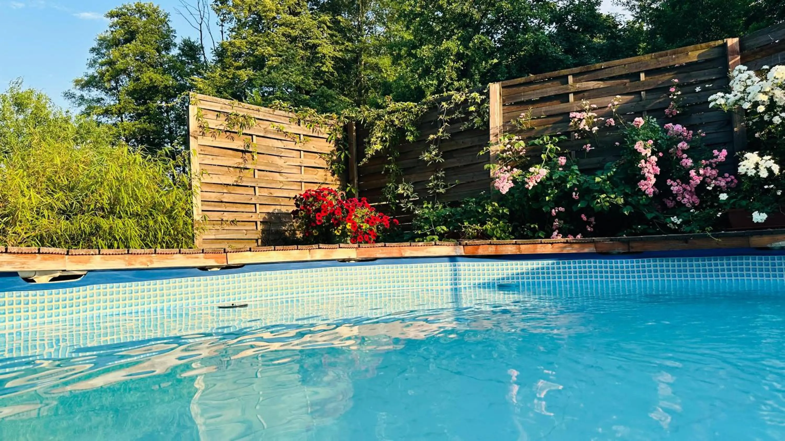 Pool view in OSADA POD LASEM