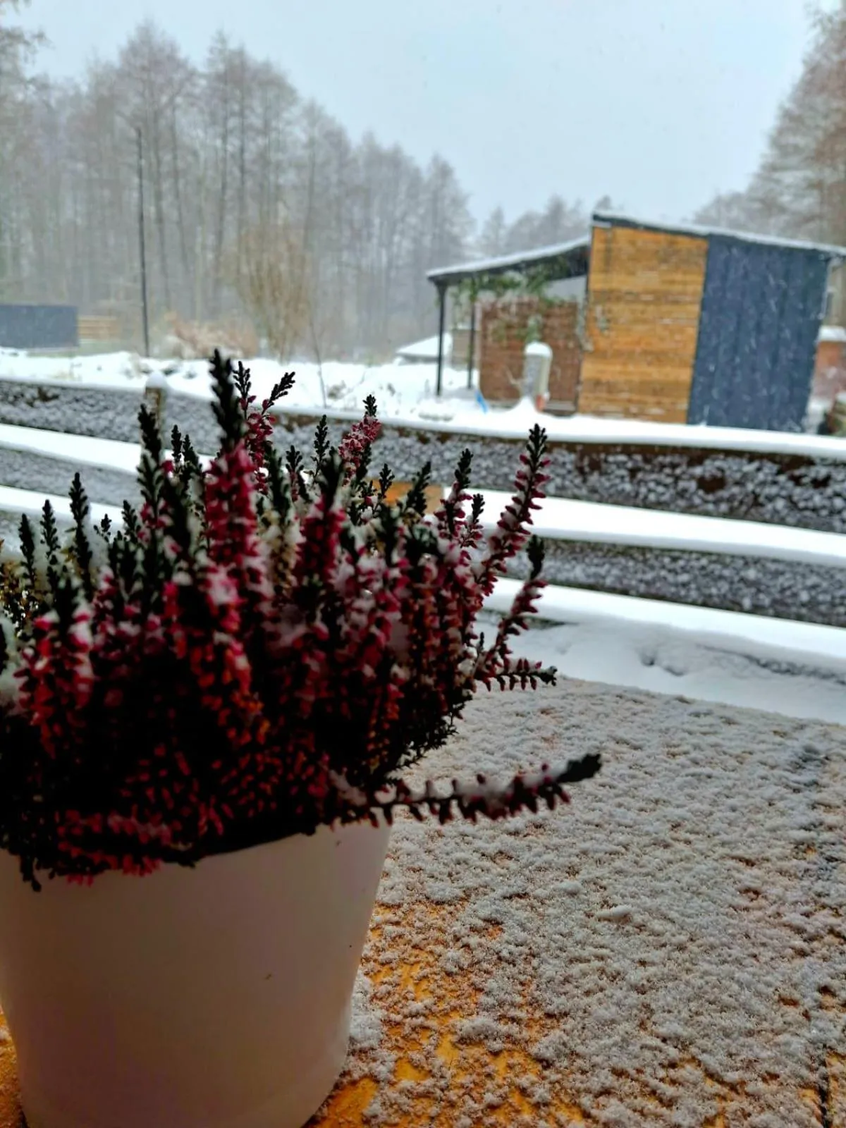 Property building in OSADA POD LASEM