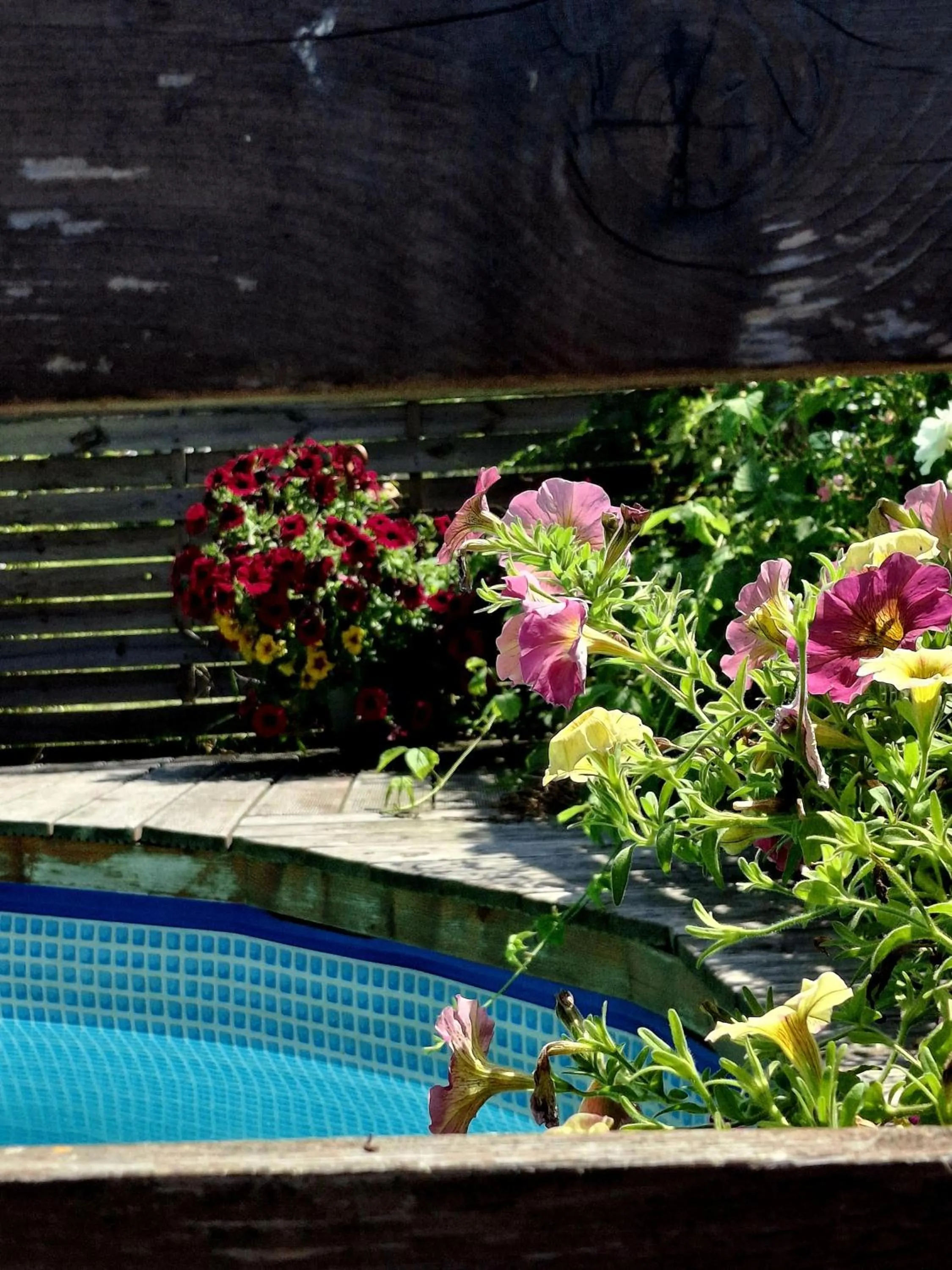 Pool view in OSADA POD LASEM