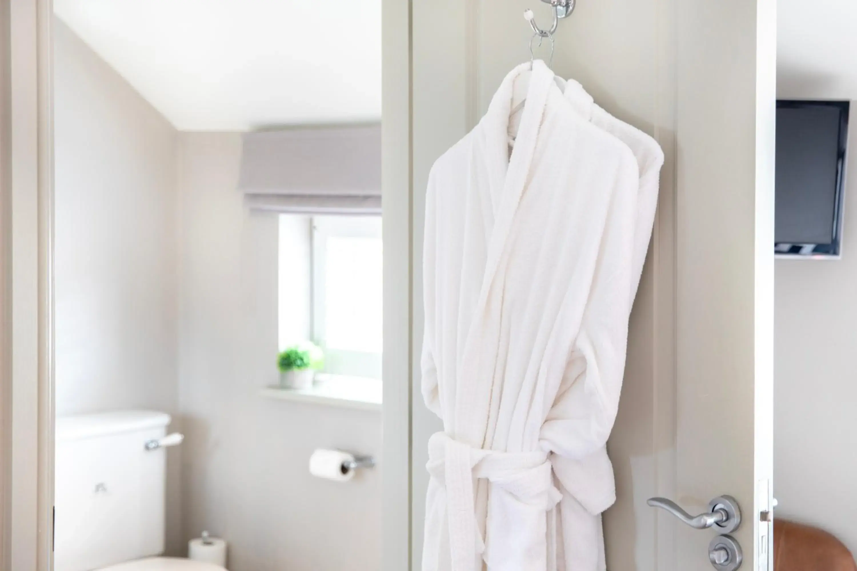 Double Room in The Fuzzy Duck Double Room in The Fuzzy Duck