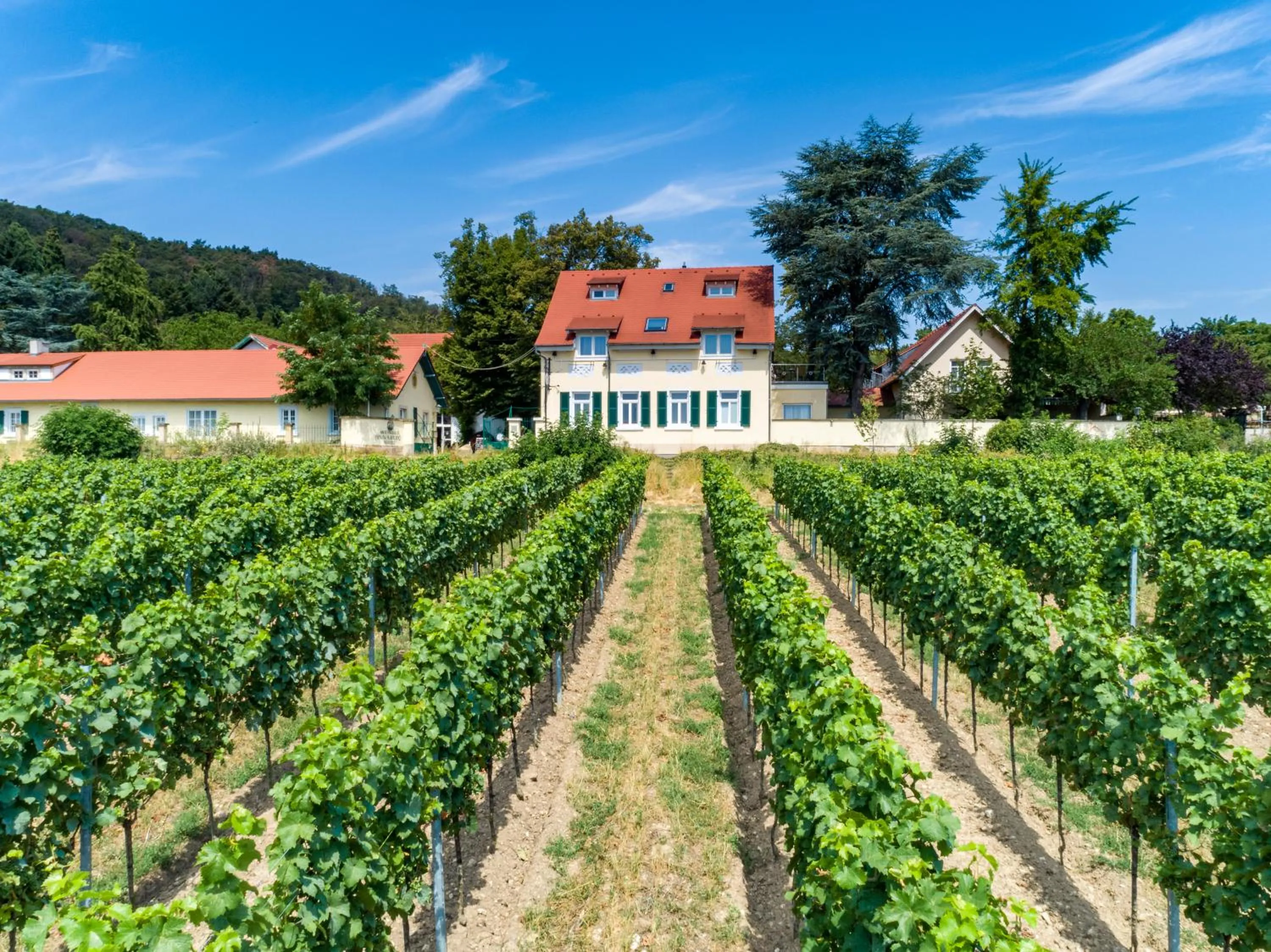 Property building in Hotel Annaberg
