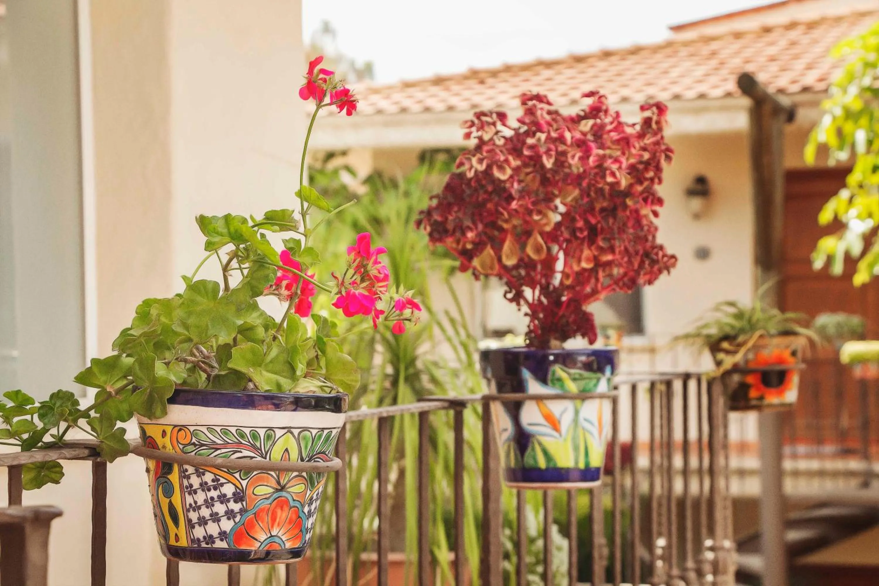 Area and facilities in Alcazar Suites