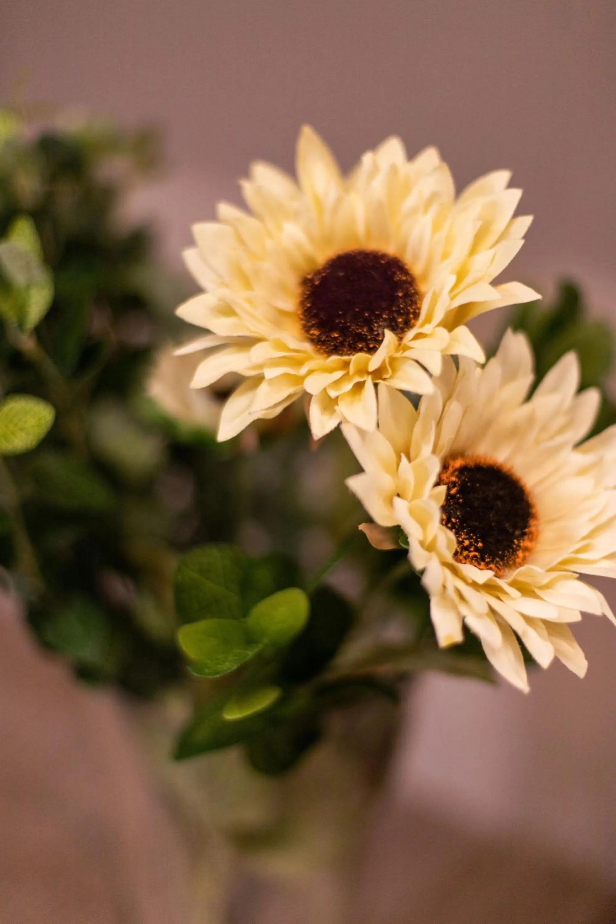 Property building in Allure Boutique Hotel